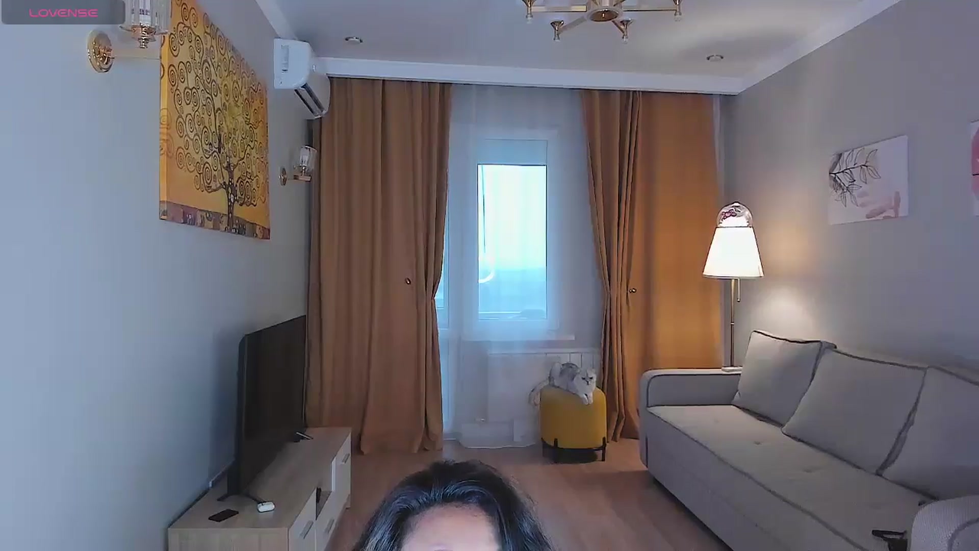 Gallery image thumbnail from OnlyCats's myfreecams stream on, 07/01/2024, 14:42 image 12 of 20
