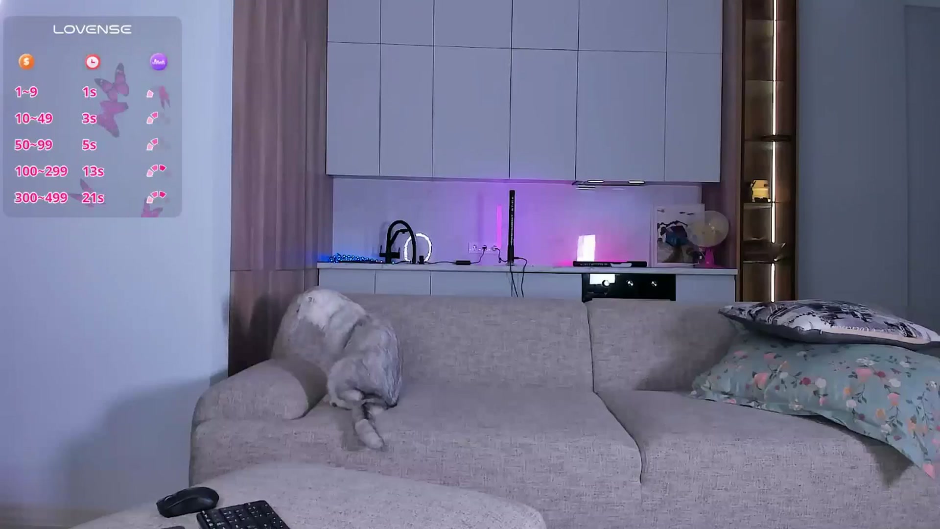 Gallery image thumbnail from OnlyCats's myfreecams stream on, 12/20/2024, 21:12 image 20 of 20