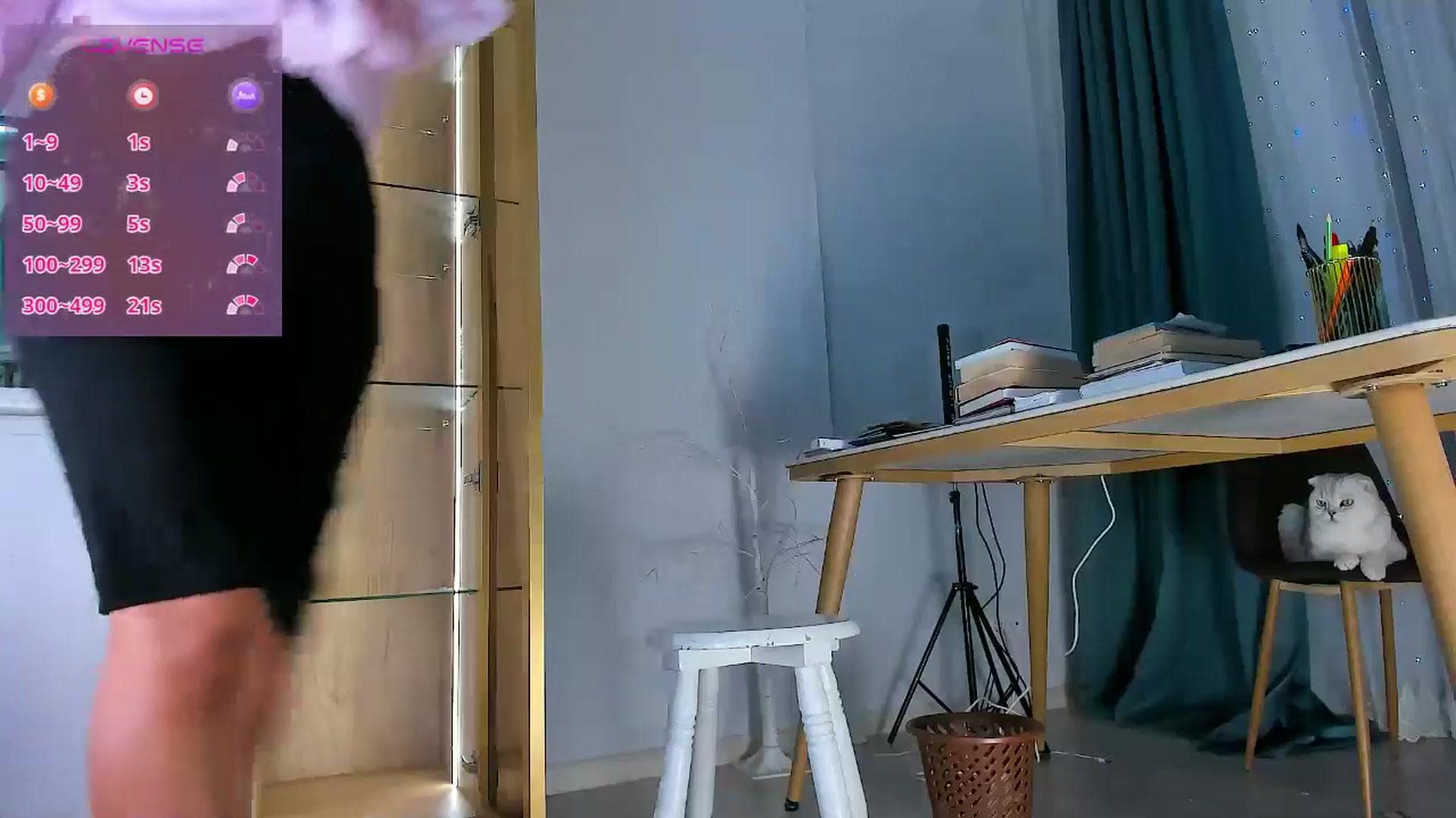 Gallery image thumbnail from OnlyCats's myfreecams stream on, 01/24/2025, 17:37 image 20 of 20