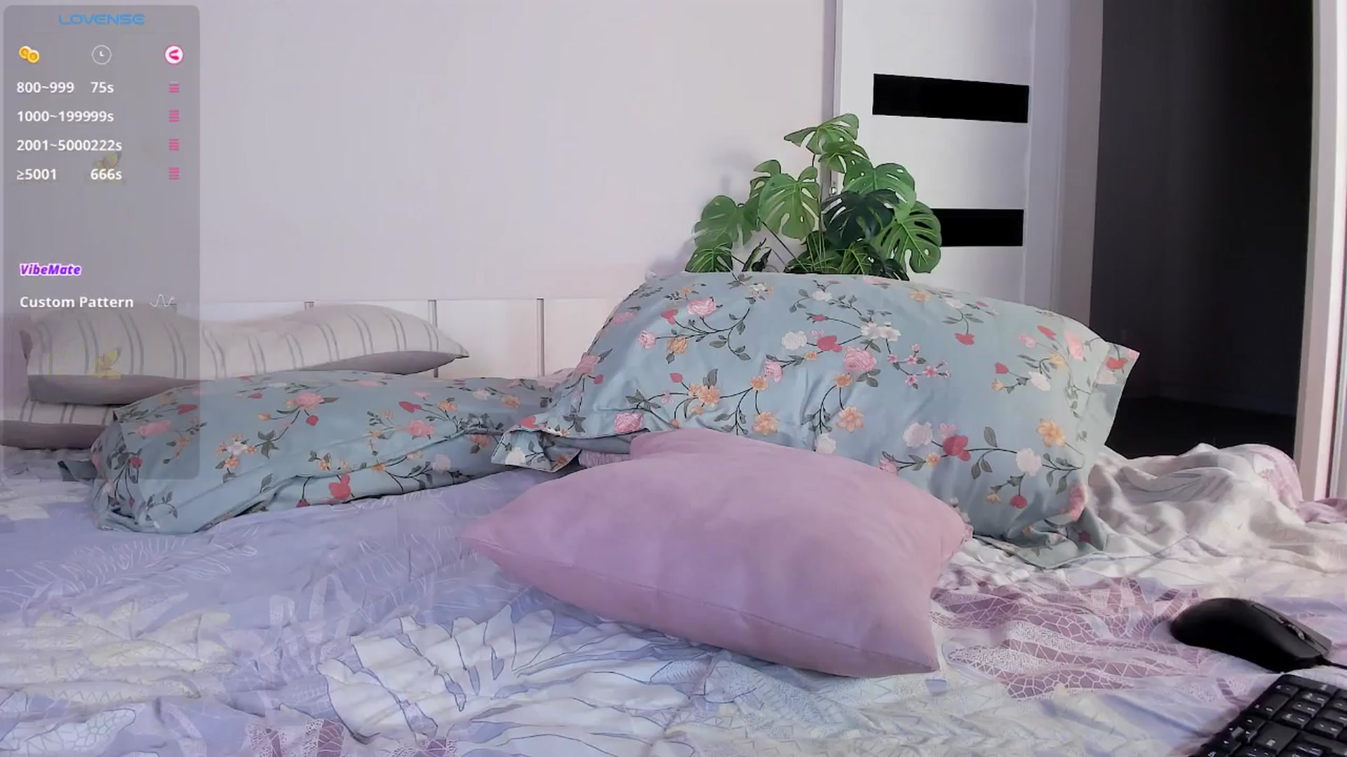 Gallery image thumbnail from OnlyCats's myfreecams stream on, 04/29/2026, 13:59 image 19 of 20