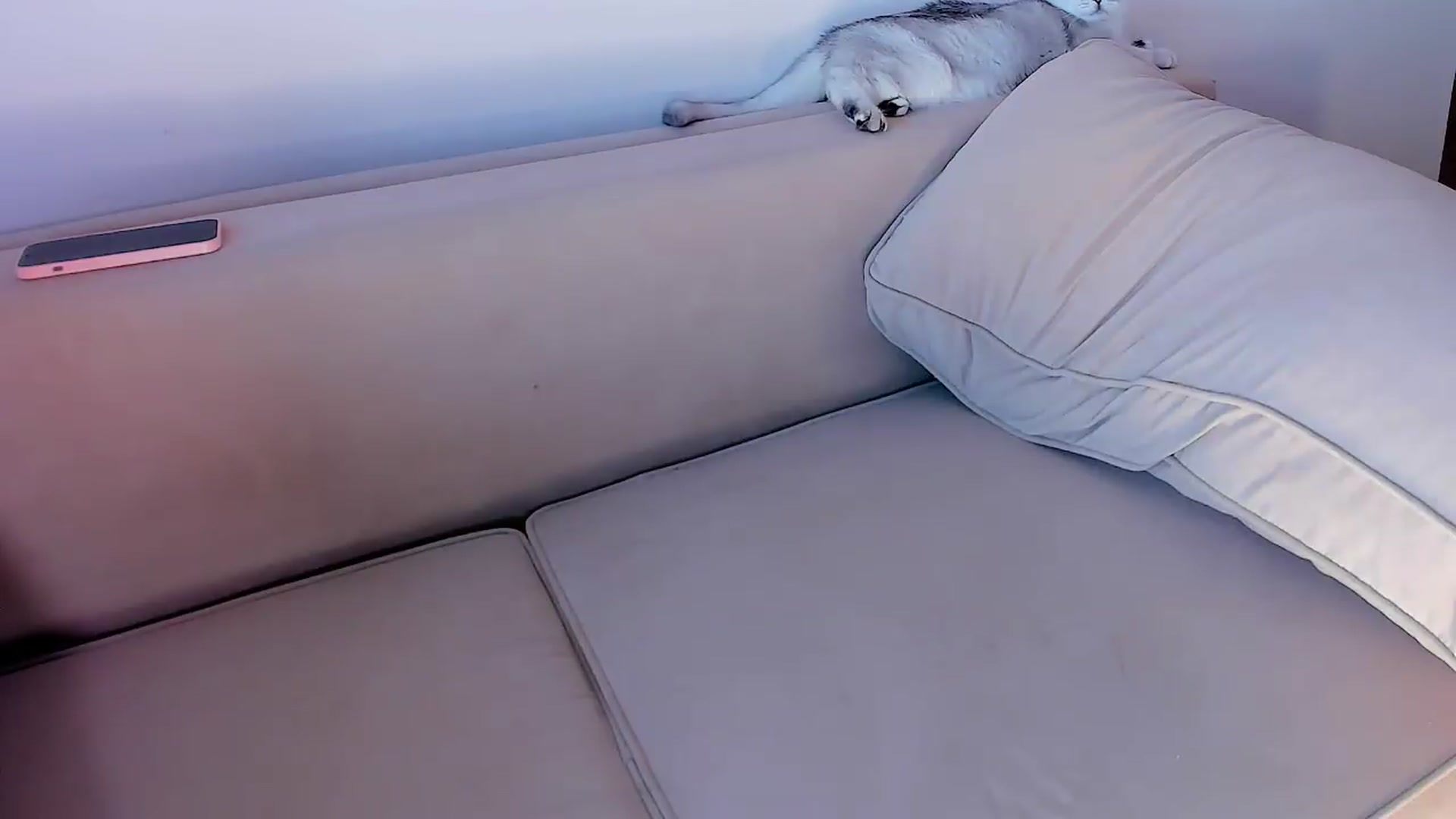 Gallery image thumbnail from OnlyCats's myfreecams stream on, 08/18/2026, 13:44 image 2 of 20