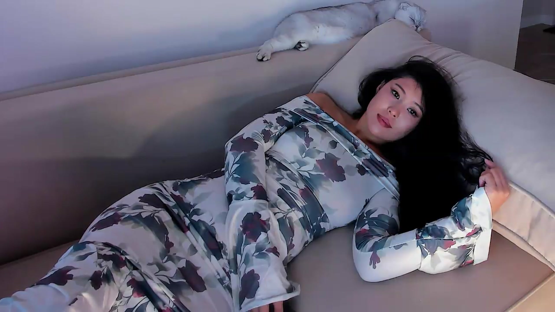 Gallery image thumbnail from OnlyCats's myfreecams stream on, 08/18/2026, 13:44 image 15 of 20