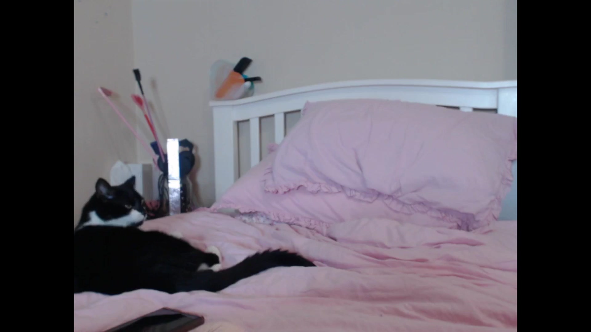 Gallery image thumbnail from OpheliaVile's myfreecams stream on, 01/15/2026, 12:17 image 5 of 20