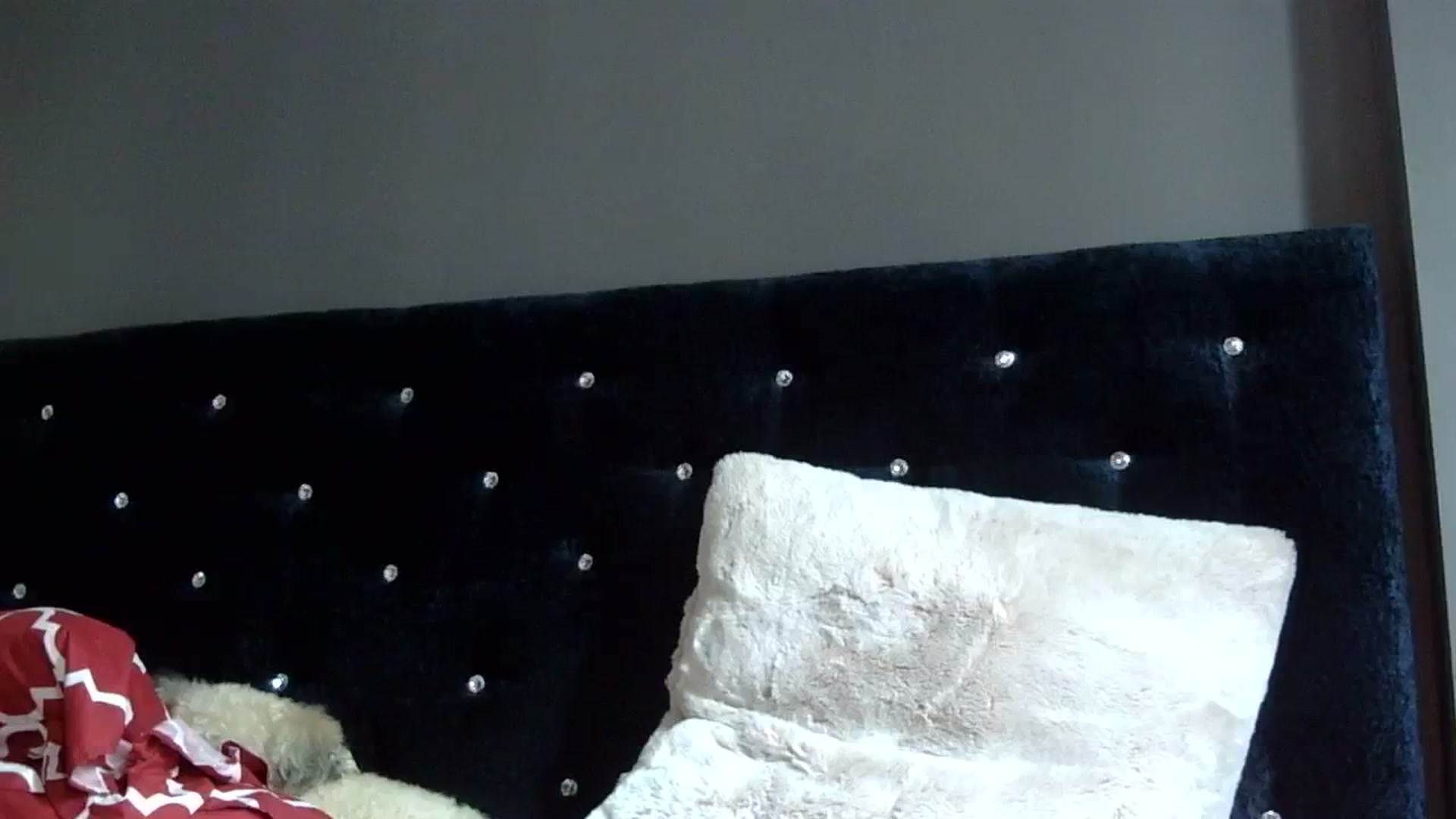 Gallery image thumbnail from Orchid_Kitty's myfreecams stream on, 09/08/2023, 18:06 image 10 of 20