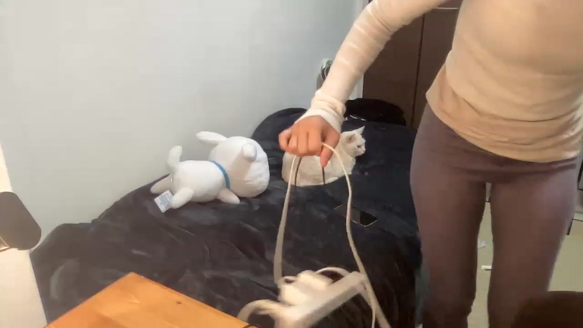 Gallery image thumbnail from Otochan's myfreecams stream on, 11/19/2022, 09:59 image 3 of 20