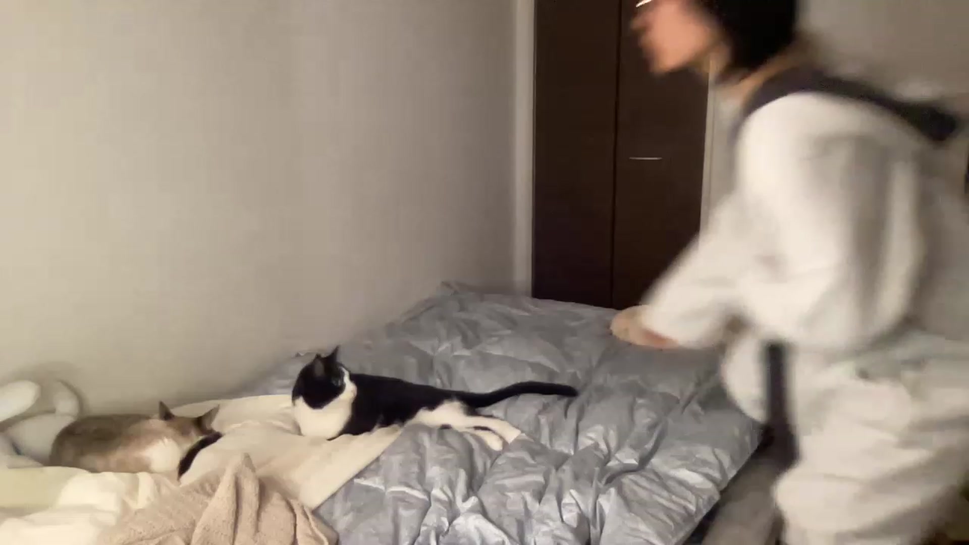 Gallery image thumbnail from Otochan's myfreecams stream on, 01/28/2023, 10:15 image 5 of 20