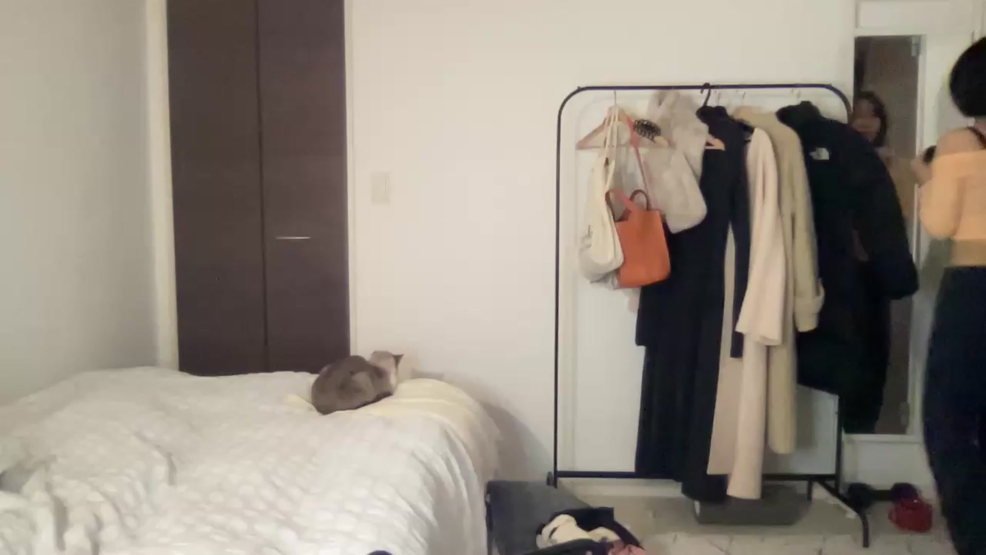 Gallery image thumbnail from Otochan's myfreecams stream on, 01/30/2023, 08:35 image 4 of 20