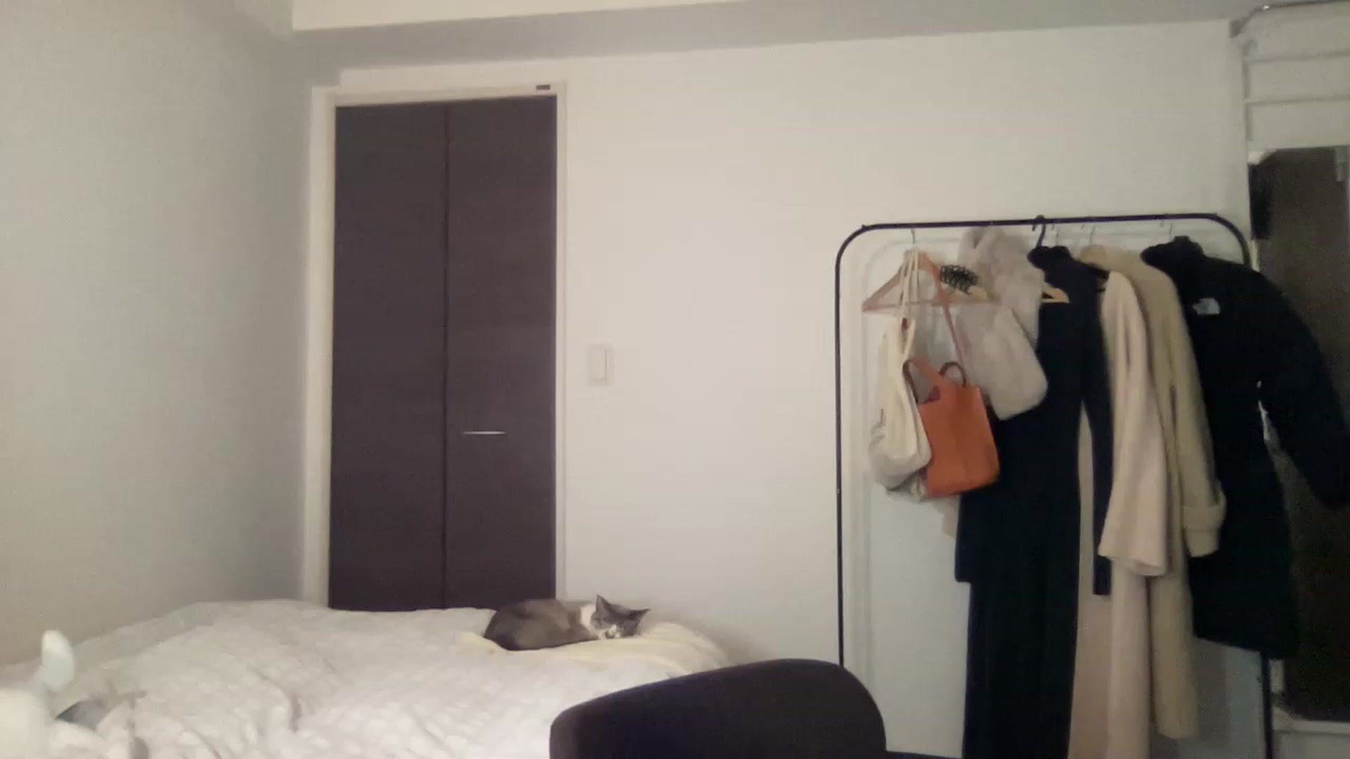 Gallery image thumbnail from Otochan's myfreecams stream on, 01/30/2023, 10:05 image 6 of 20