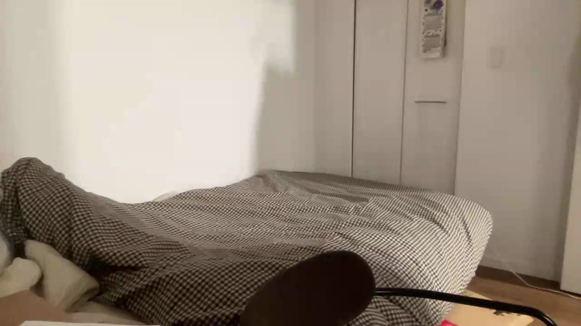 Gallery image thumbnail from Otochan's myfreecams stream on, 07/28/2026, 11:45 image 20 of 20