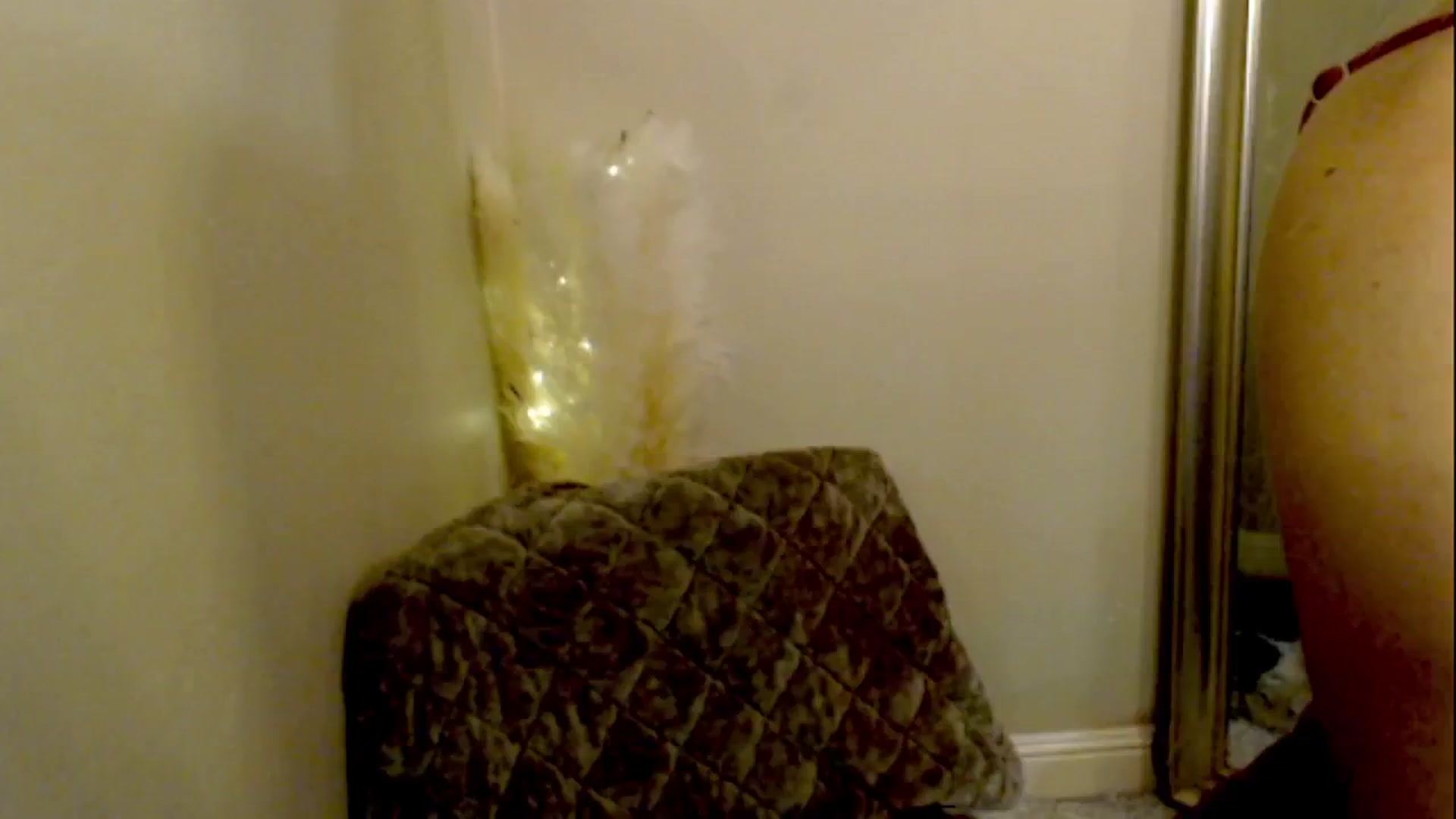 Gallery image thumbnail from OutOfThisWrld's myfreecams stream on, 02/04/2025, 10:41 image 16 of 20