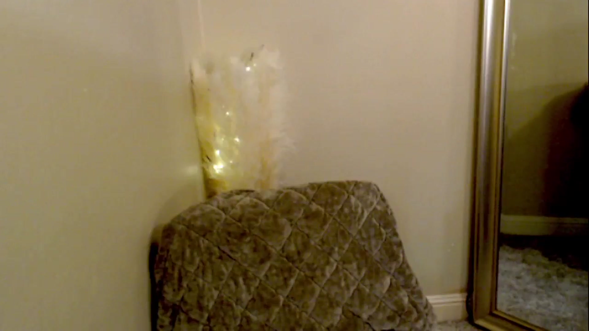 Gallery image thumbnail from OutOfThisWrld's myfreecams stream on, 02/04/2025, 11:28 image 9 of 20