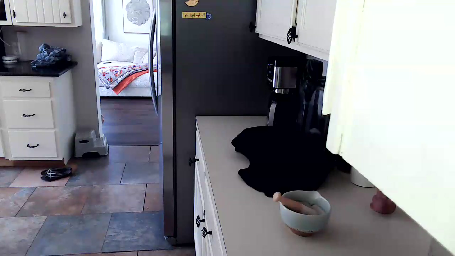 Gallery image thumbnail from OverallDistracted's myfreecams stream on, 09/09/2026, 18:08 image 4 of 20