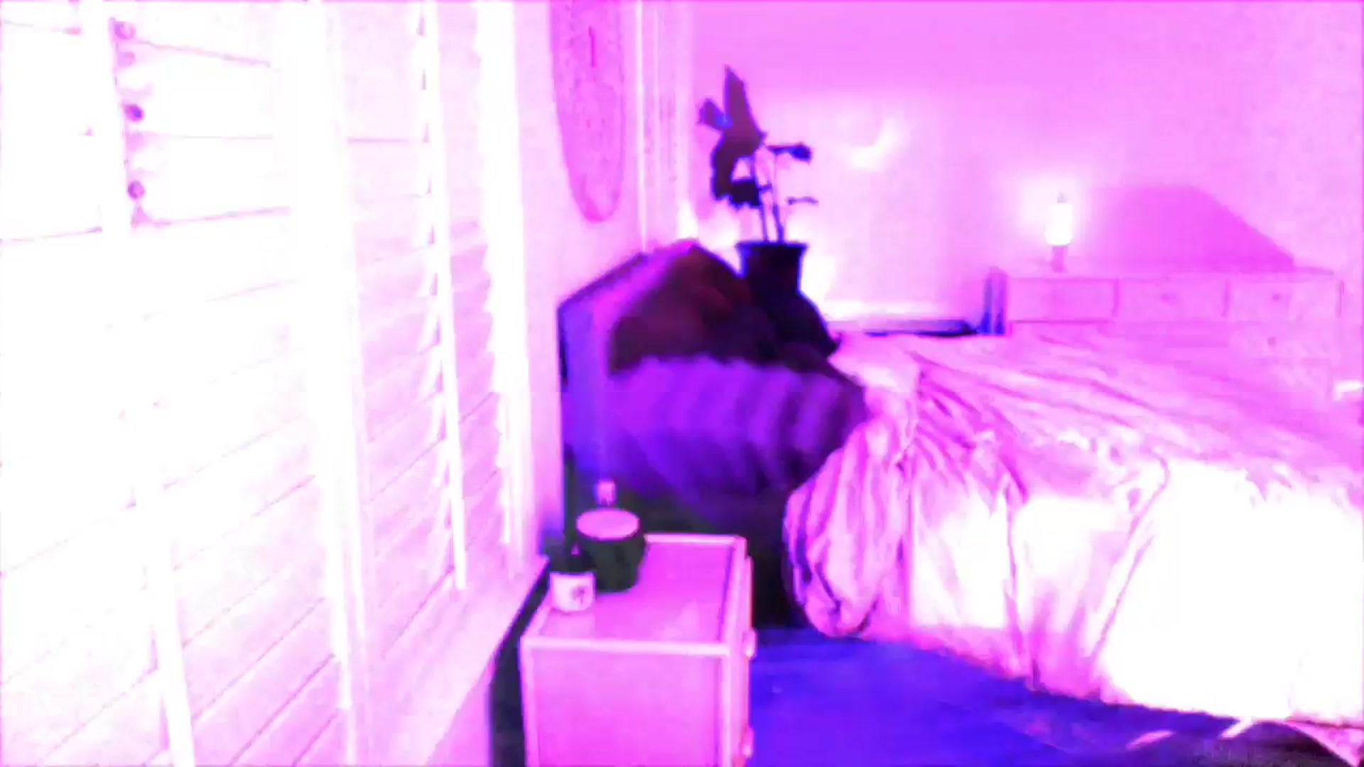 Gallery image thumbnail from P0SIE's myfreecams stream on, 06/01/2025, 05:59 image 1 of 20