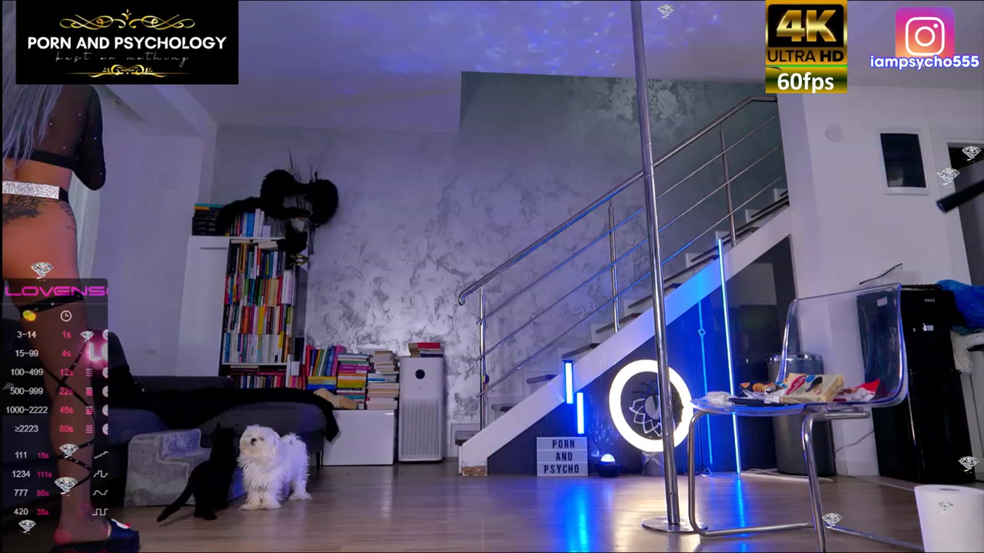 Gallery image thumbnail from PORNANDPSYCHO's myfreecams stream on, 06/09/2023, 09:04 image 12 of 20