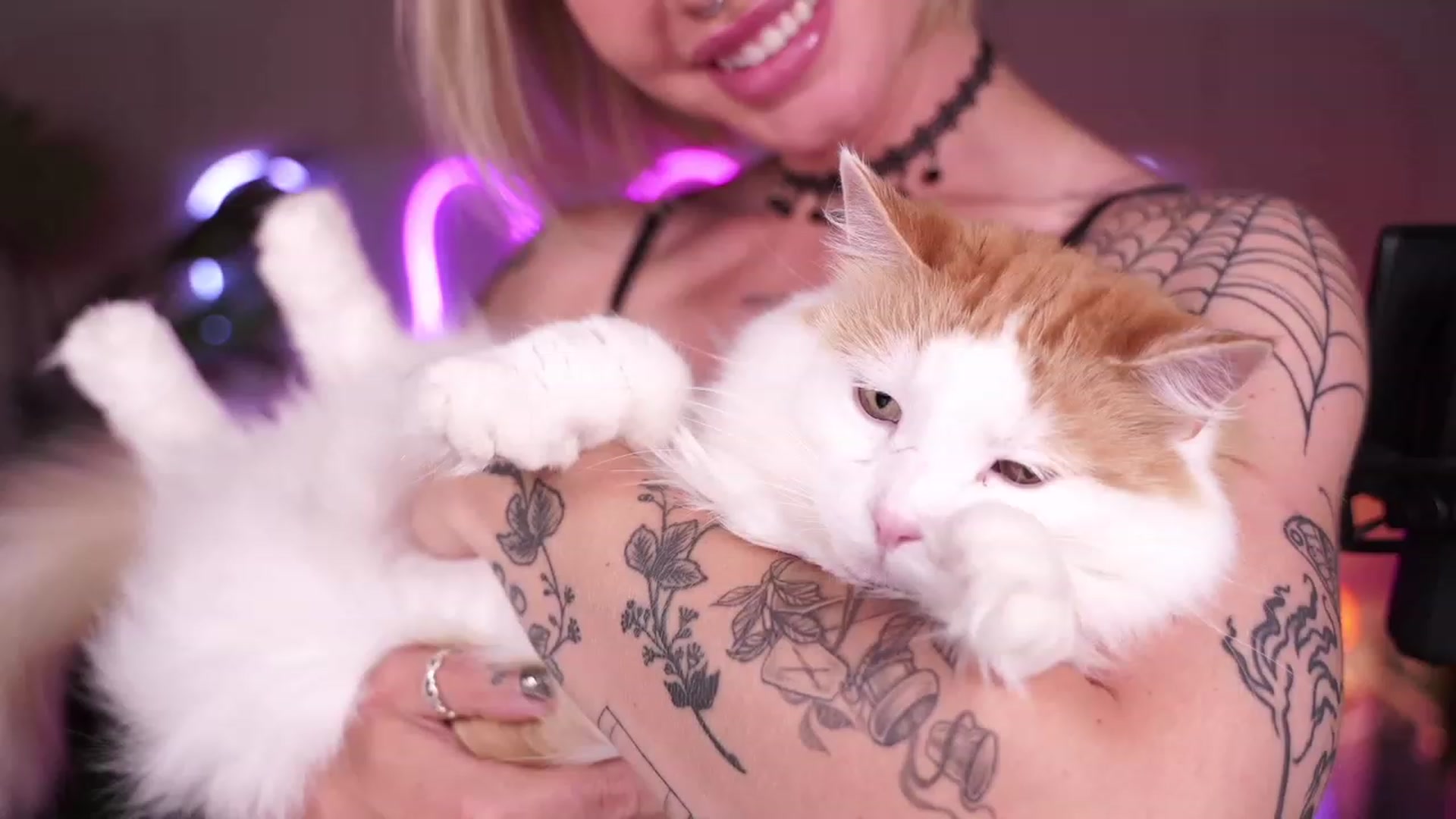 Gallery image thumbnail from Paige's myfreecams stream on, 08/21/2023, 04:40 image 8 of 20