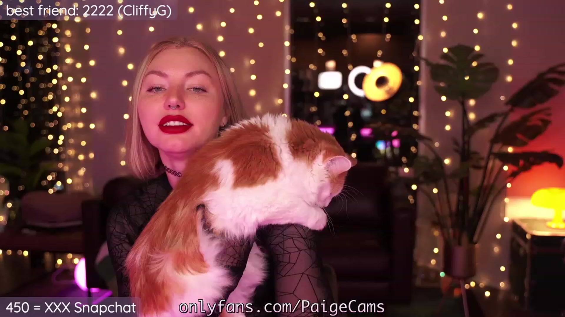 Gallery image thumbnail from Paige's myfreecams stream on, 11/06/2023, 04:42 image 16 of 20