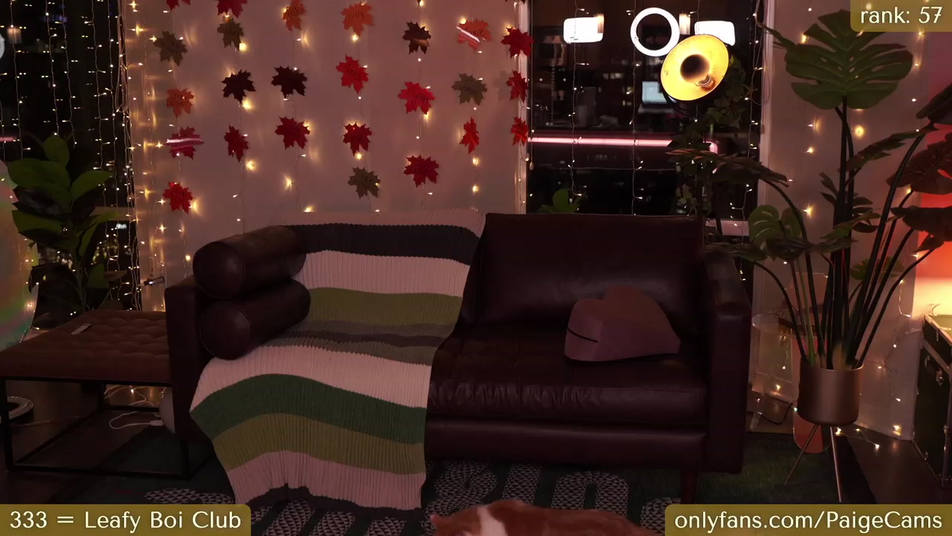Gallery image thumbnail from Paige's myfreecams stream on, 11/10/2023, 05:59 image 1 of 20
