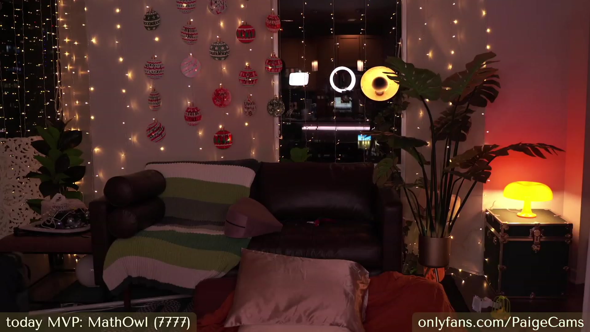 Gallery image thumbnail from Paige's myfreecams stream on, 12/30/2023, 03:36 image 16 of 20