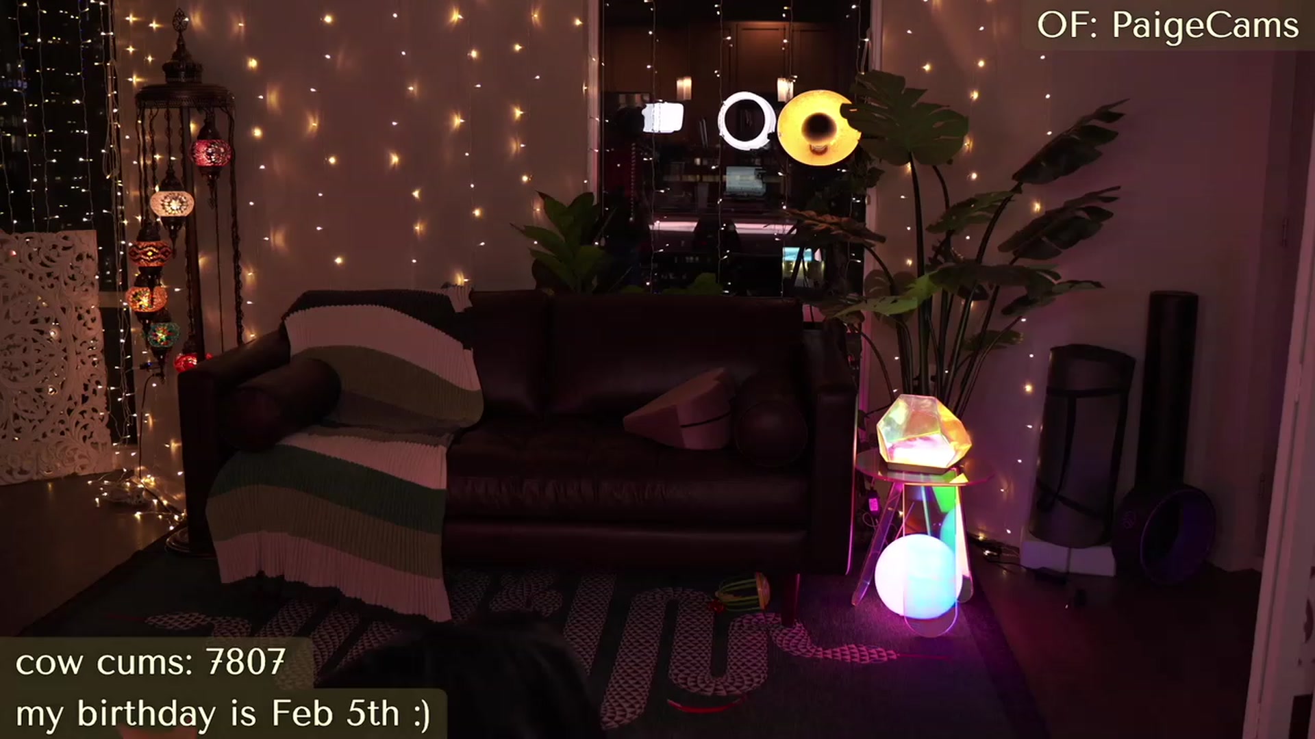 Gallery image thumbnail from Paige's myfreecams stream on, 02/03/2024, 04:44 image 16 of 20