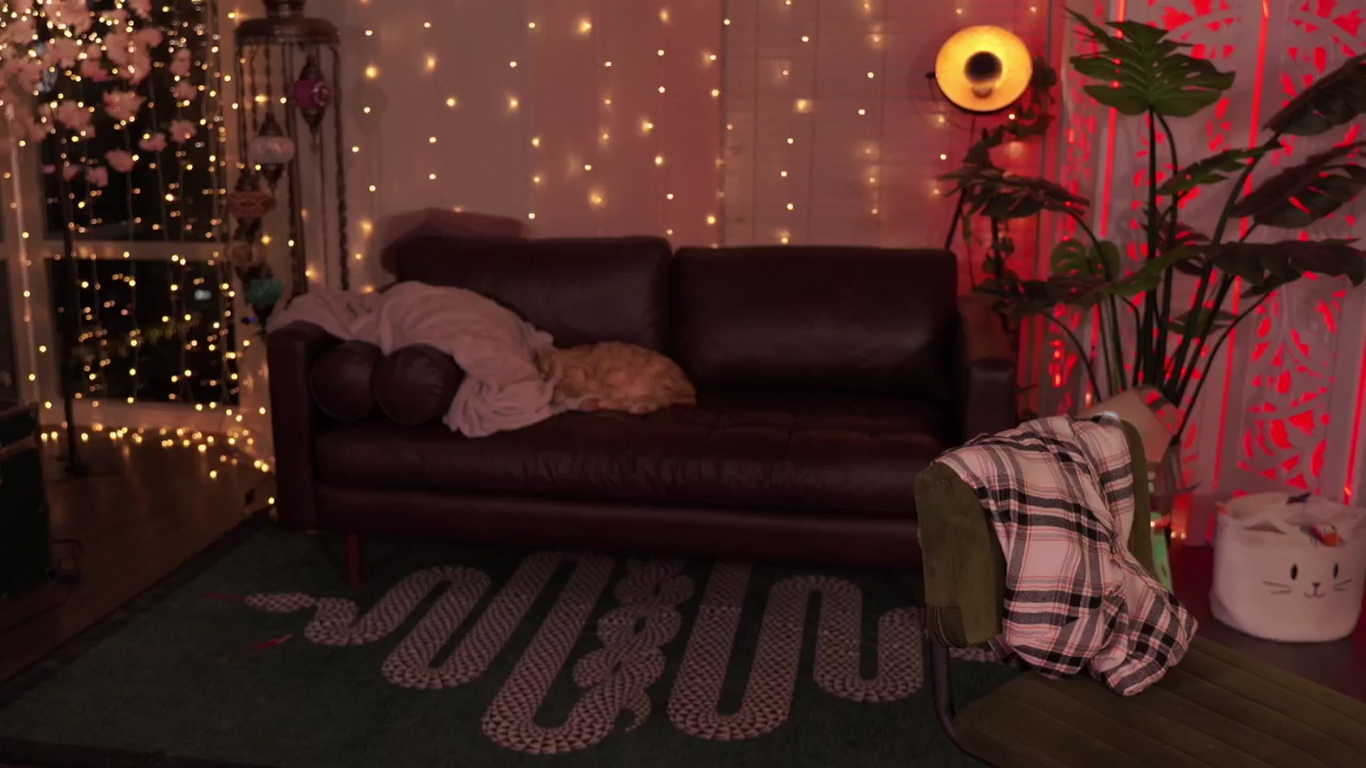 Gallery image thumbnail from Paige's myfreecams stream on, 04/19/2024, 05:34 image 8 of 20
