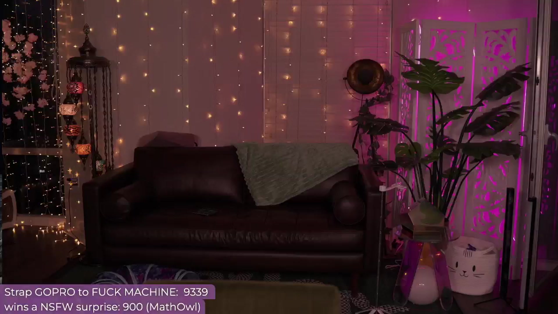 Gallery image thumbnail from Paige's myfreecams stream on, 06/30/2024, 03:15 image 16 of 20