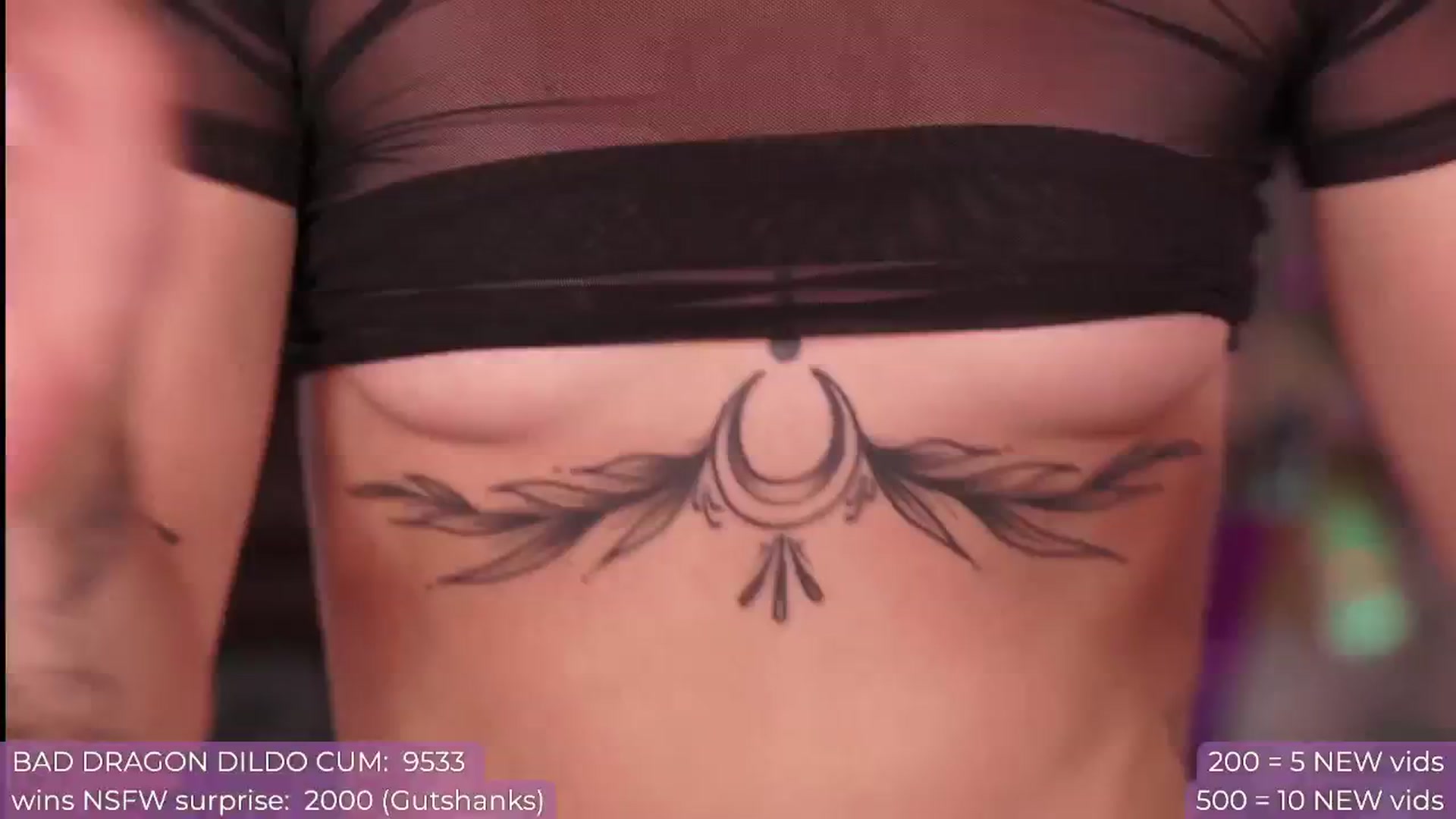 Gallery image thumbnail from Paige's myfreecams stream on, 07/25/2024, 02:59 image 13 of 20