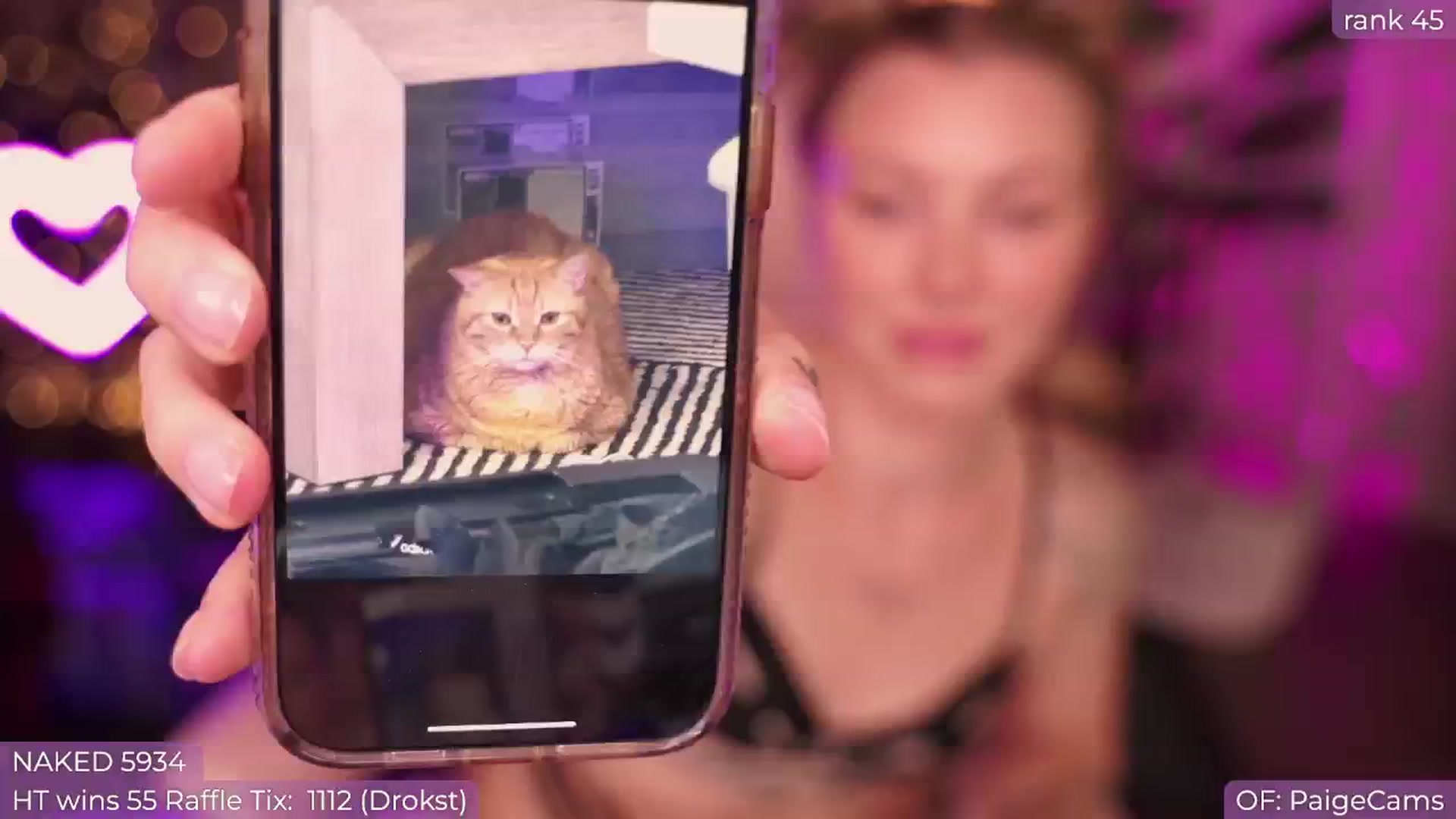 Gallery image thumbnail from Paige's myfreecams stream on, 08/30/2024, 06:56 image 10 of 20