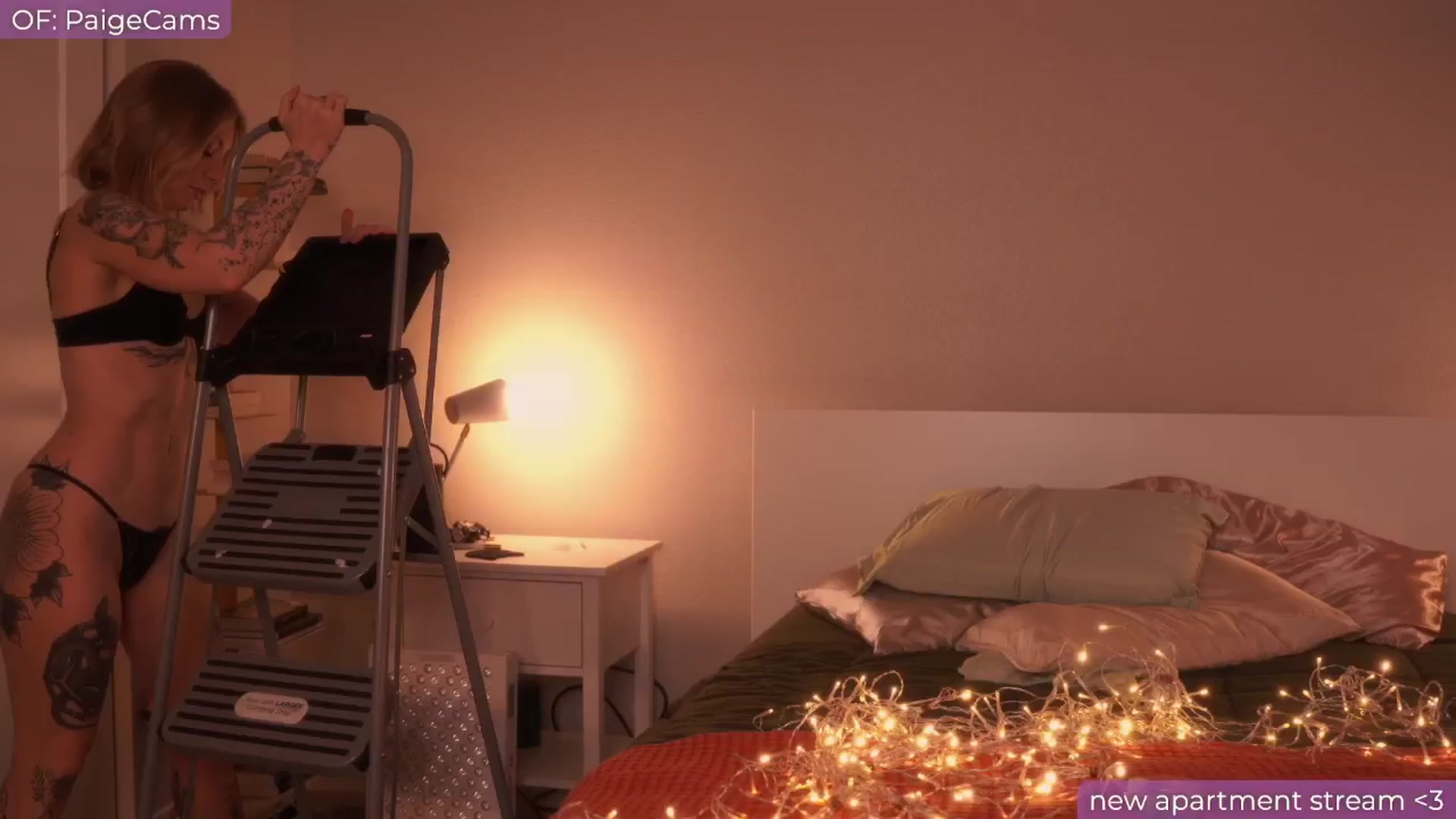 Gallery image thumbnail from Paige's myfreecams stream on, 10/22/2024, 03:41 image 8 of 20