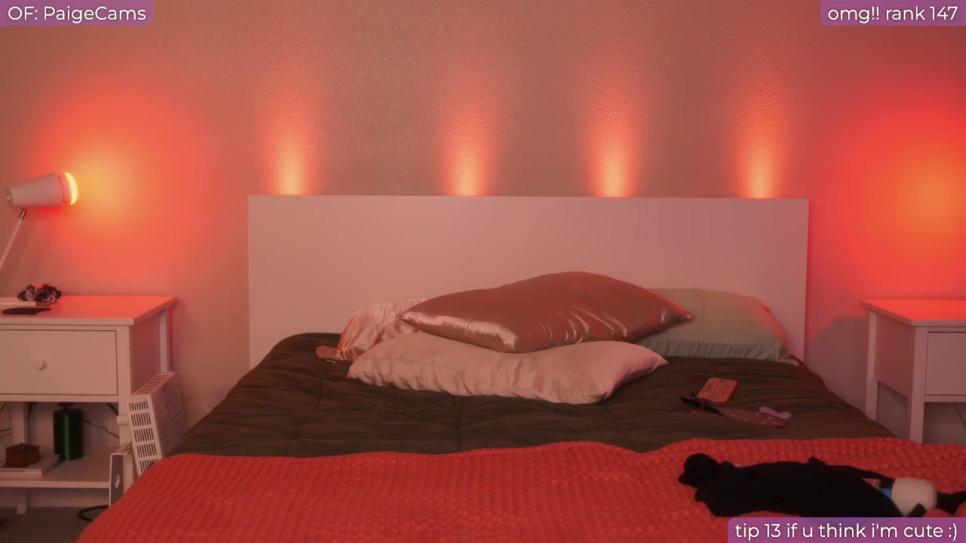 Gallery image thumbnail from Paige's myfreecams stream on, 10/28/2024, 02:09 image 4 of 20