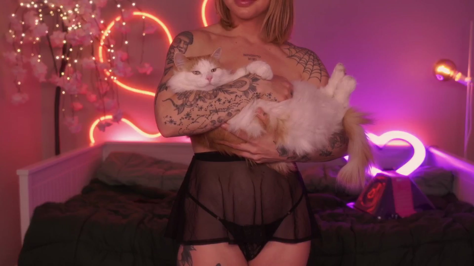 Gallery image thumbnail from Paige's myfreecams stream on, 12/07/2024, 06:15 image 12 of 20