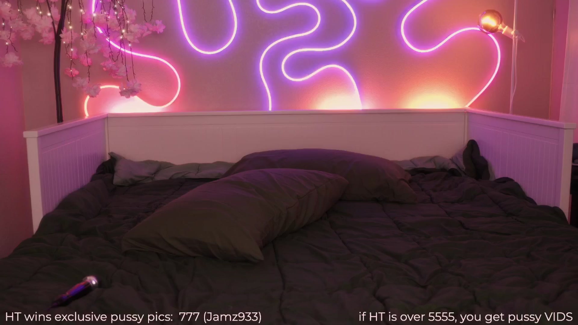 Gallery image thumbnail from Paige's myfreecams stream on, 01/31/2025, 03:27 image 13 of 20
