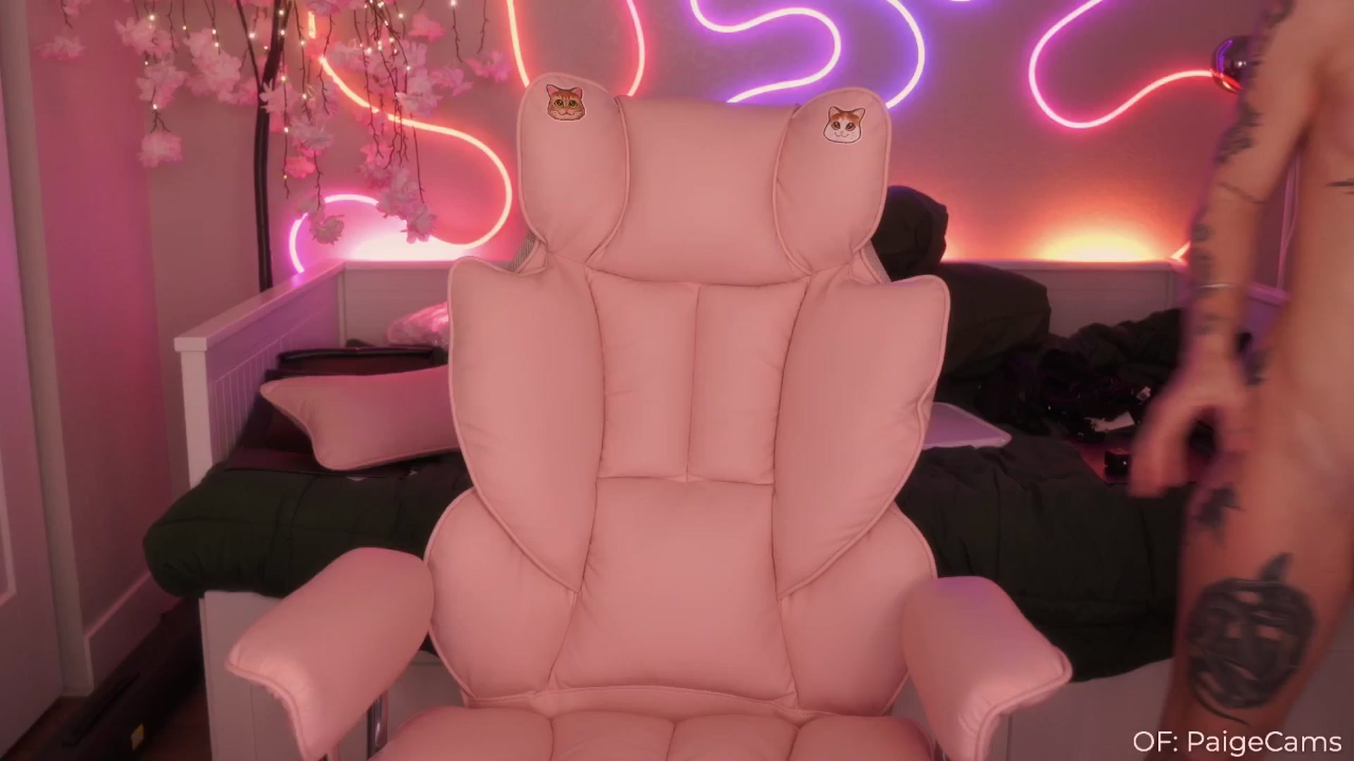 Gallery image thumbnail from Paige's myfreecams stream on, 02/23/2025, 07:09 image 9 of 20