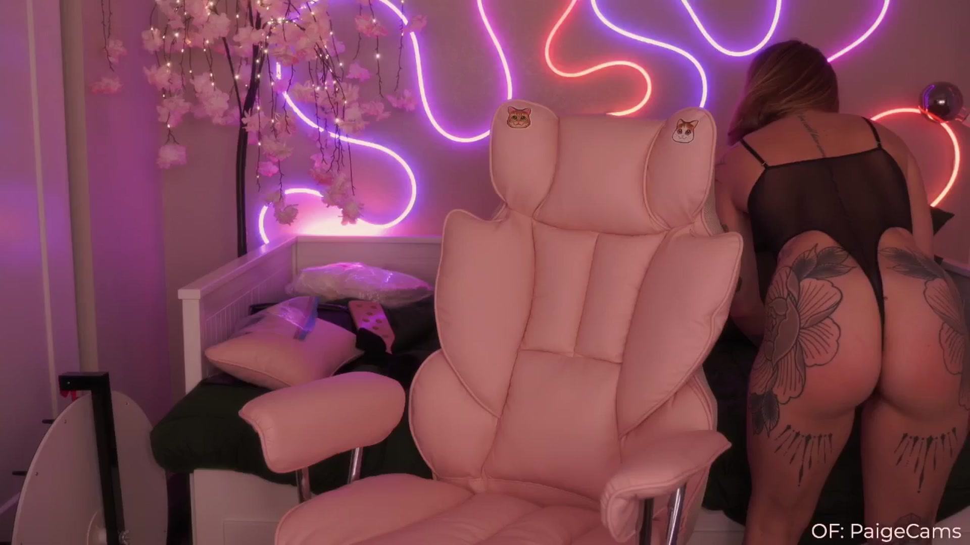 Gallery image thumbnail from Paige's myfreecams stream on, 02/28/2025, 05:52 image 6 of 20
