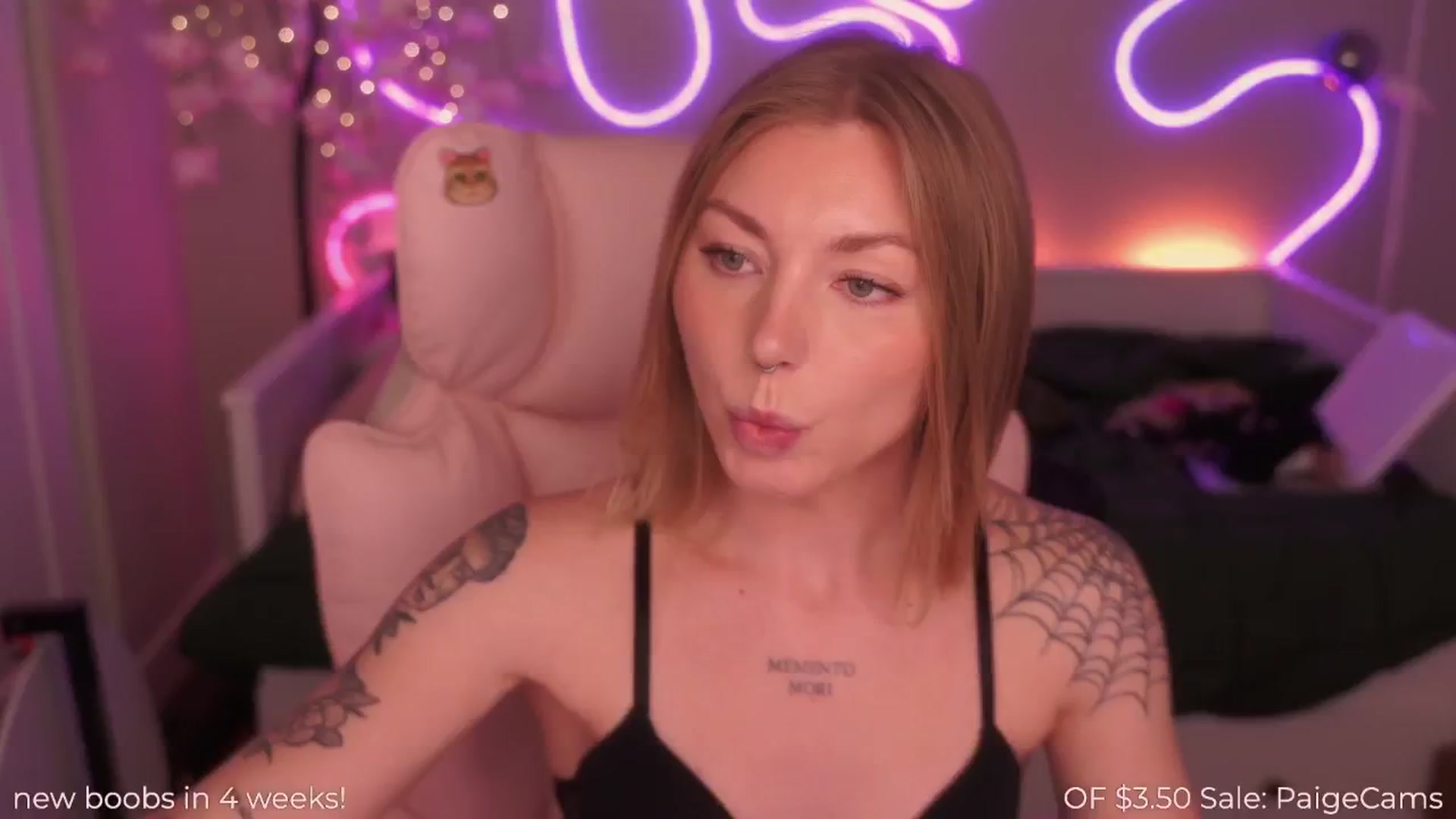 Gallery image thumbnail from Paige's myfreecams stream on, 03/22/2025, 03:07 image 19 of 20