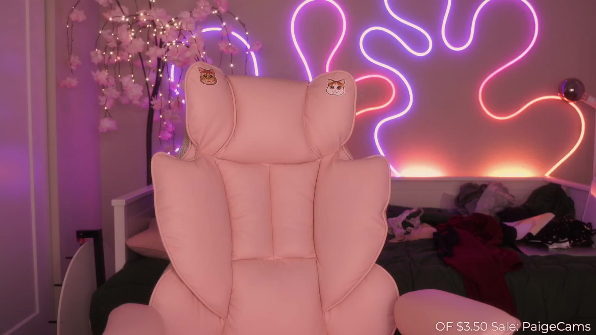 Gallery image thumbnail from Paige's myfreecams stream on, 03/24/2025, 05:26 image 18 of 20