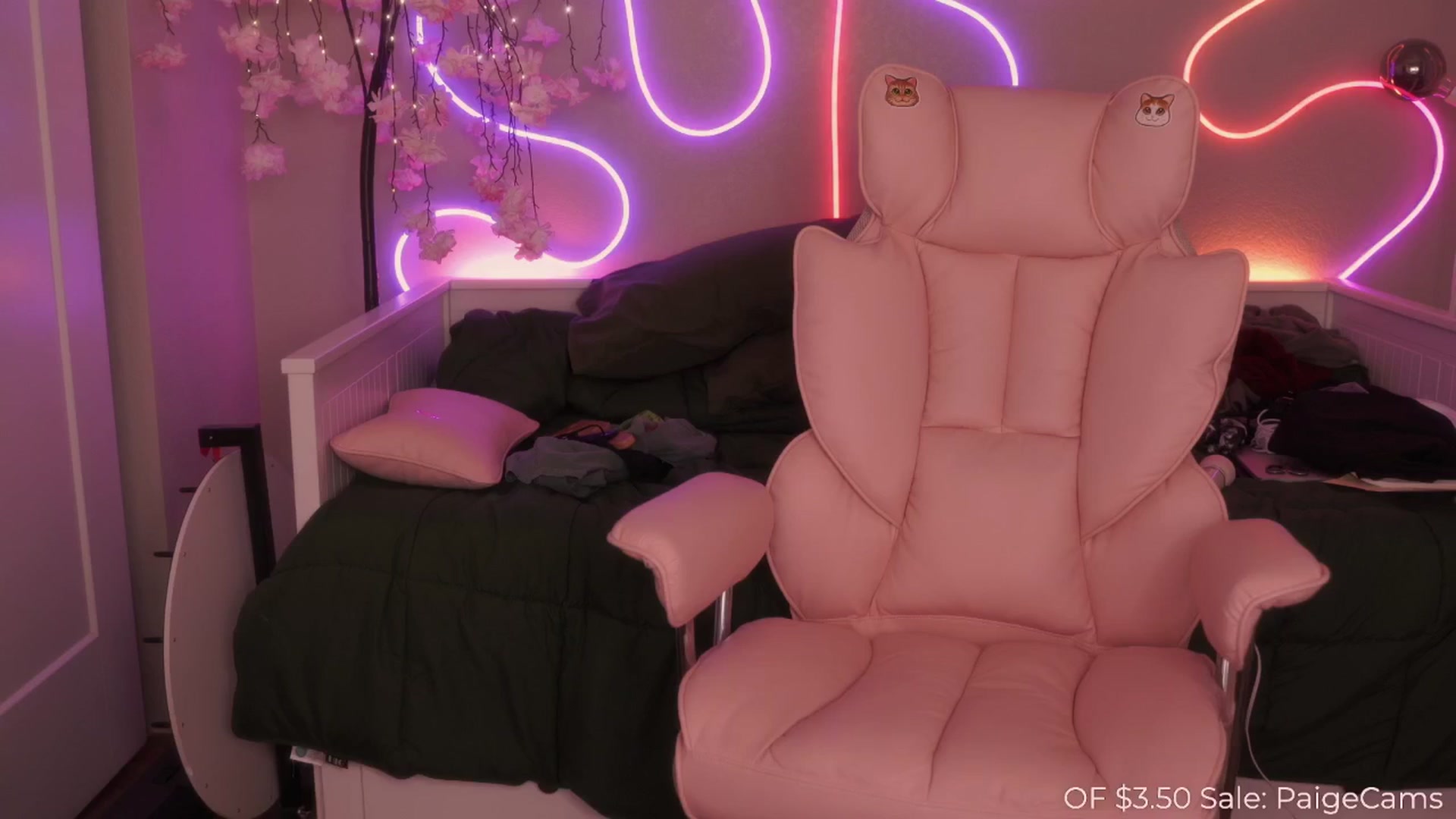 Gallery image thumbnail from Paige's myfreecams stream on, 03/29/2025, 03:45 image 12 of 20