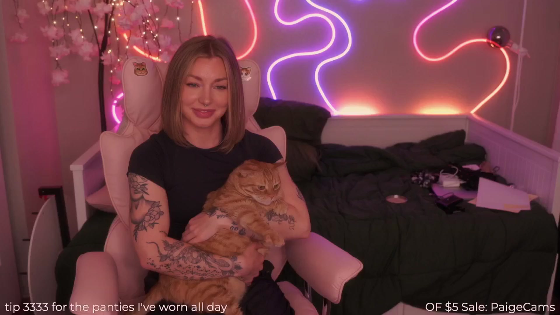 Gallery image thumbnail from Paige's myfreecams stream on, 03/30/2025, 01:06 image 6 of 20