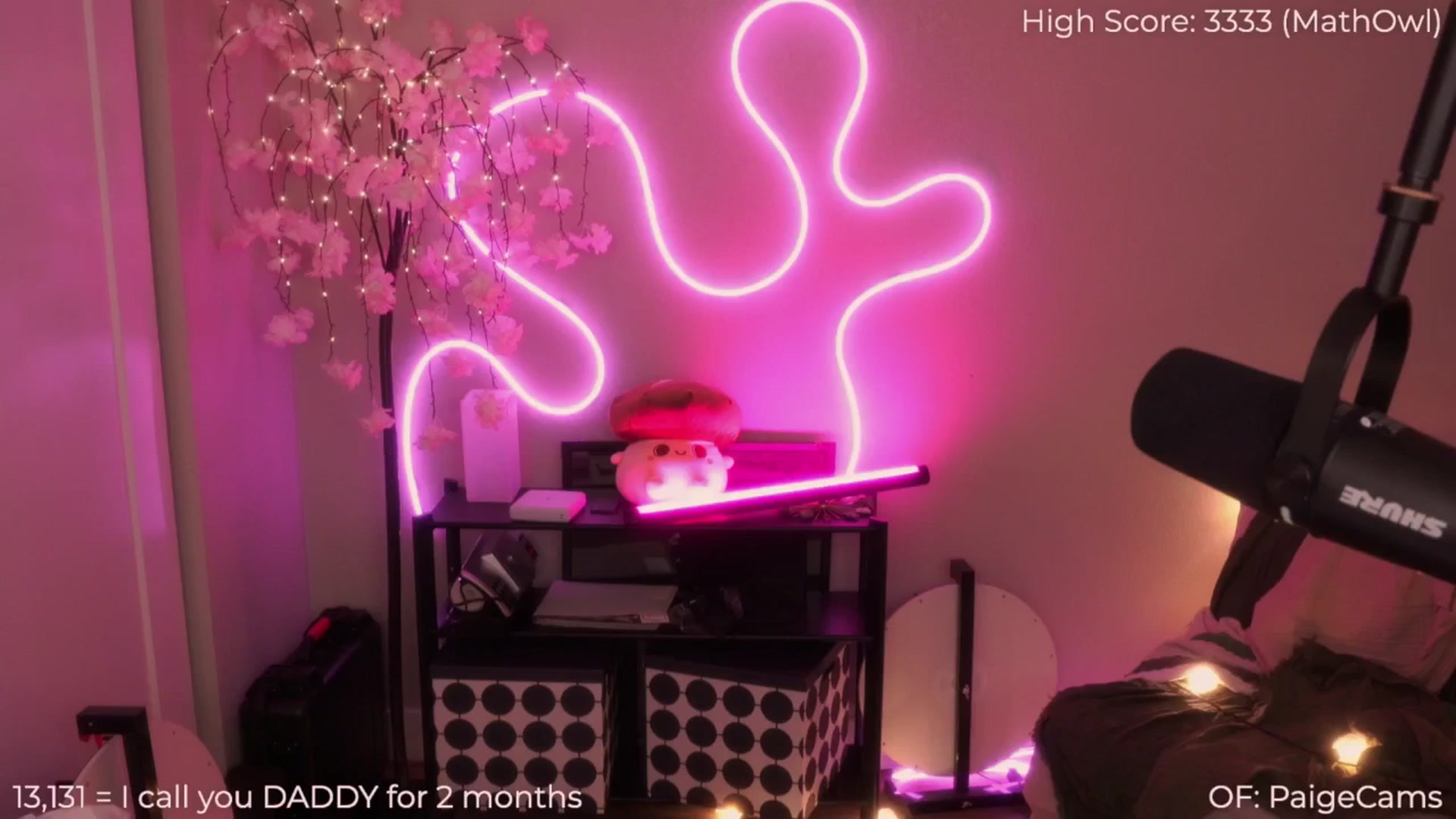 Gallery image thumbnail from Paige's myfreecams stream on, 07/12/2025, 02:22 image 16 of 20