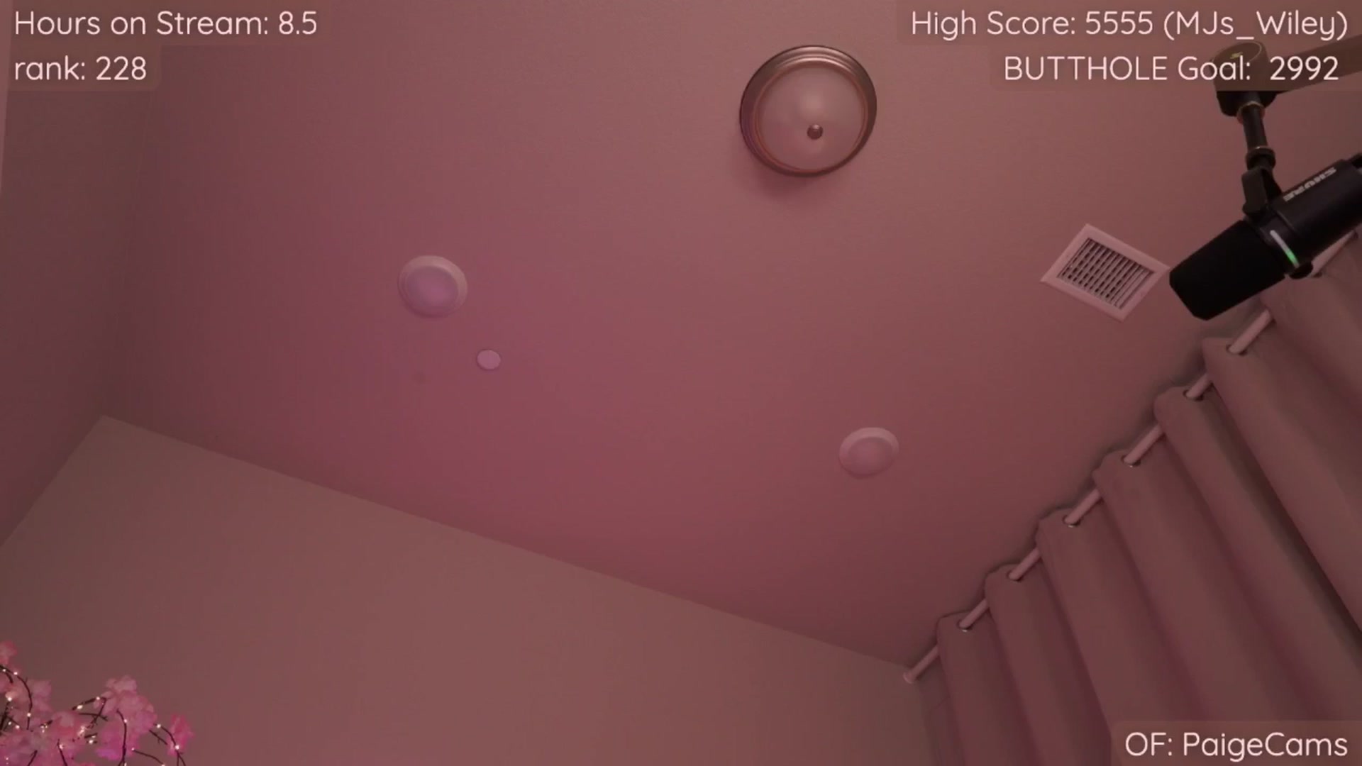 Gallery image thumbnail from Paige's myfreecams stream on, 07/27/2025, 06:15 image 9 of 20