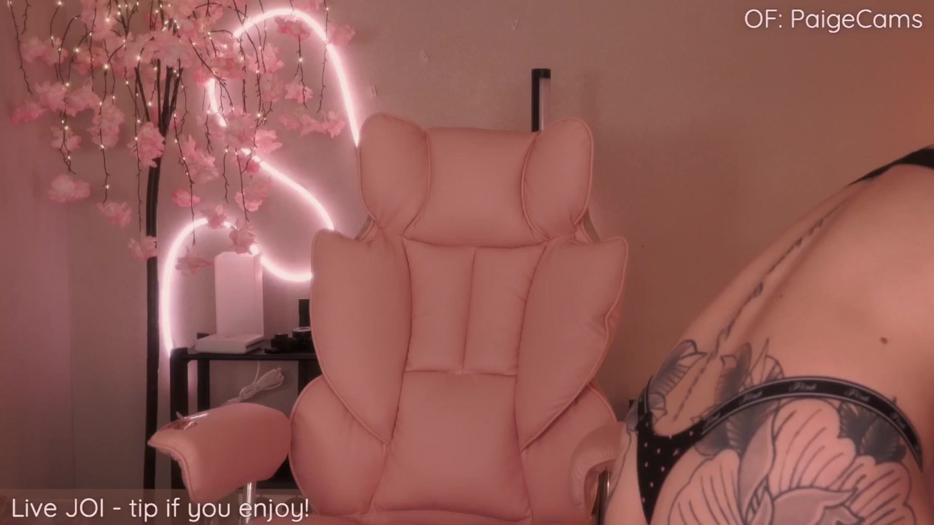 Gallery image thumbnail from Paige's myfreecams stream on, 07/28/2025, 23:57 image 16 of 20