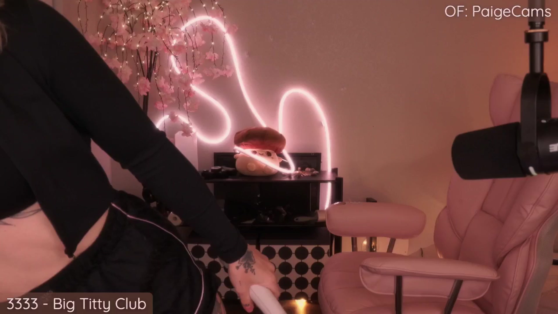 Gallery image thumbnail from Paige's myfreecams stream on, 07/31/2025, 01:38 image 7 of 20