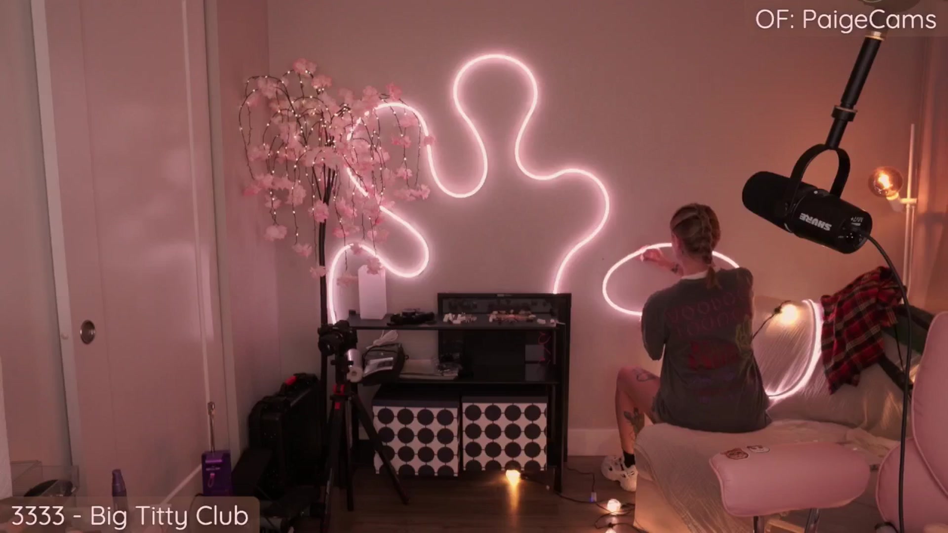 Gallery image thumbnail from Paige's myfreecams stream on, 08/01/2025, 24:33 image 4 of 20
