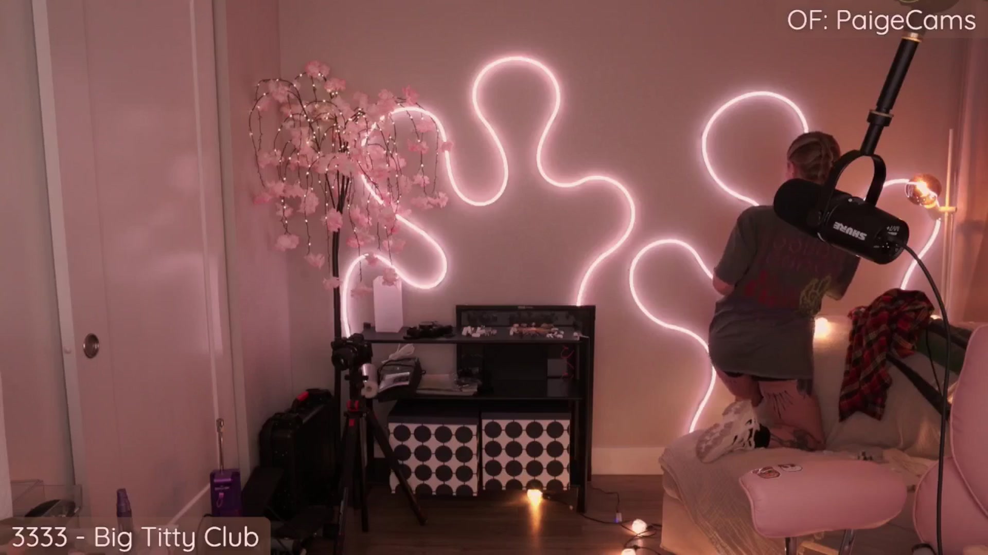 Gallery image thumbnail from Paige's myfreecams stream on, 08/01/2025, 24:33 image 5 of 20