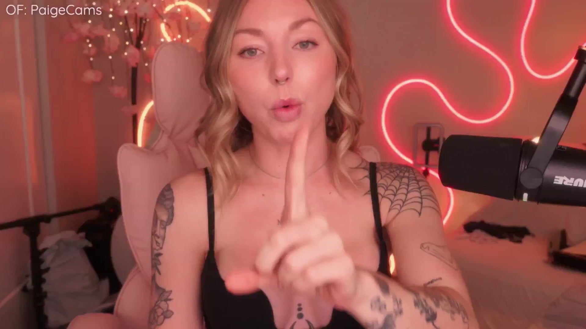 Gallery image thumbnail from Paige's myfreecams stream on, 09/14/2025, 02:38 image 7 of 20