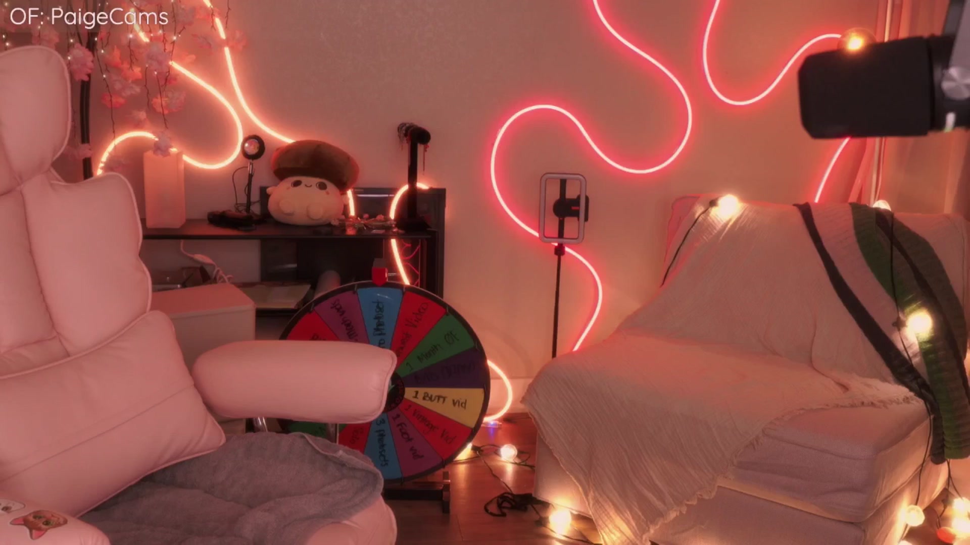 Gallery image thumbnail from Paige's myfreecams stream on, 09/14/2025, 02:38 image 18 of 20