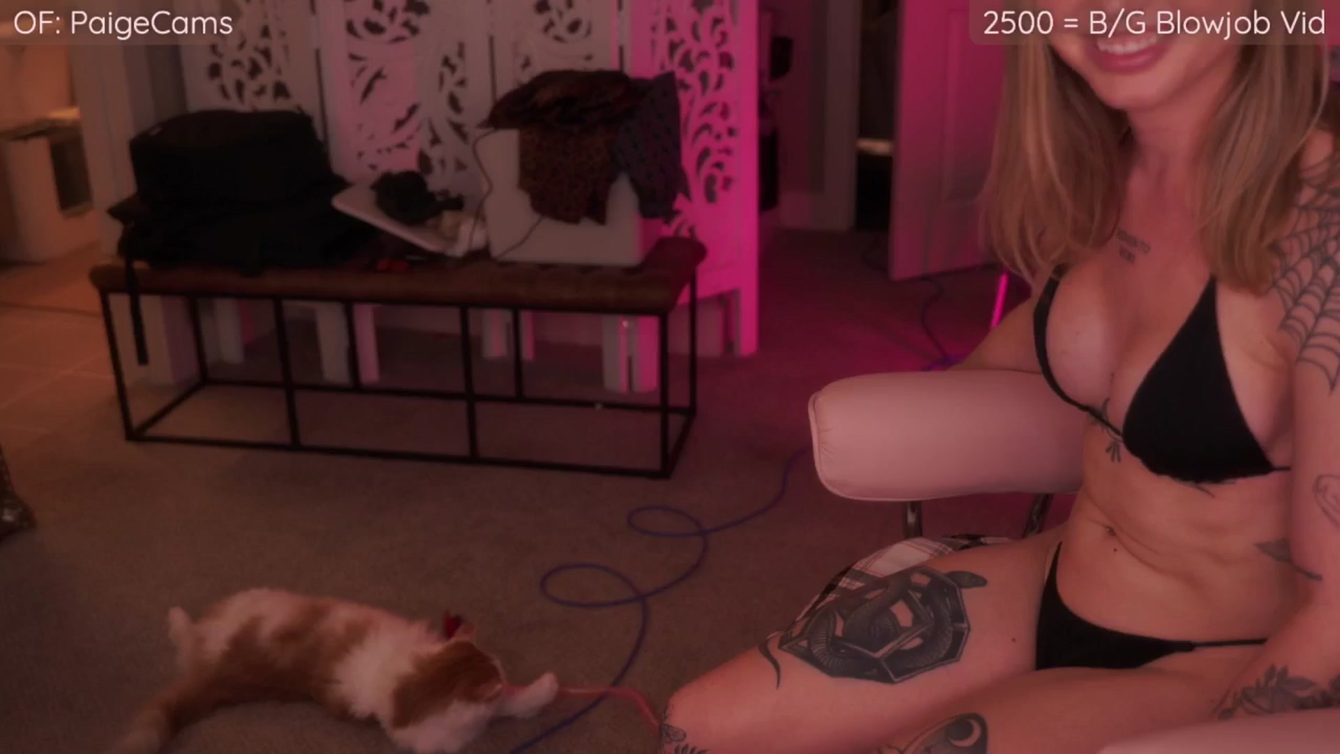 Gallery image thumbnail from Paige's myfreecams stream on, 12/03/2025, 04:19 image 10 of 20