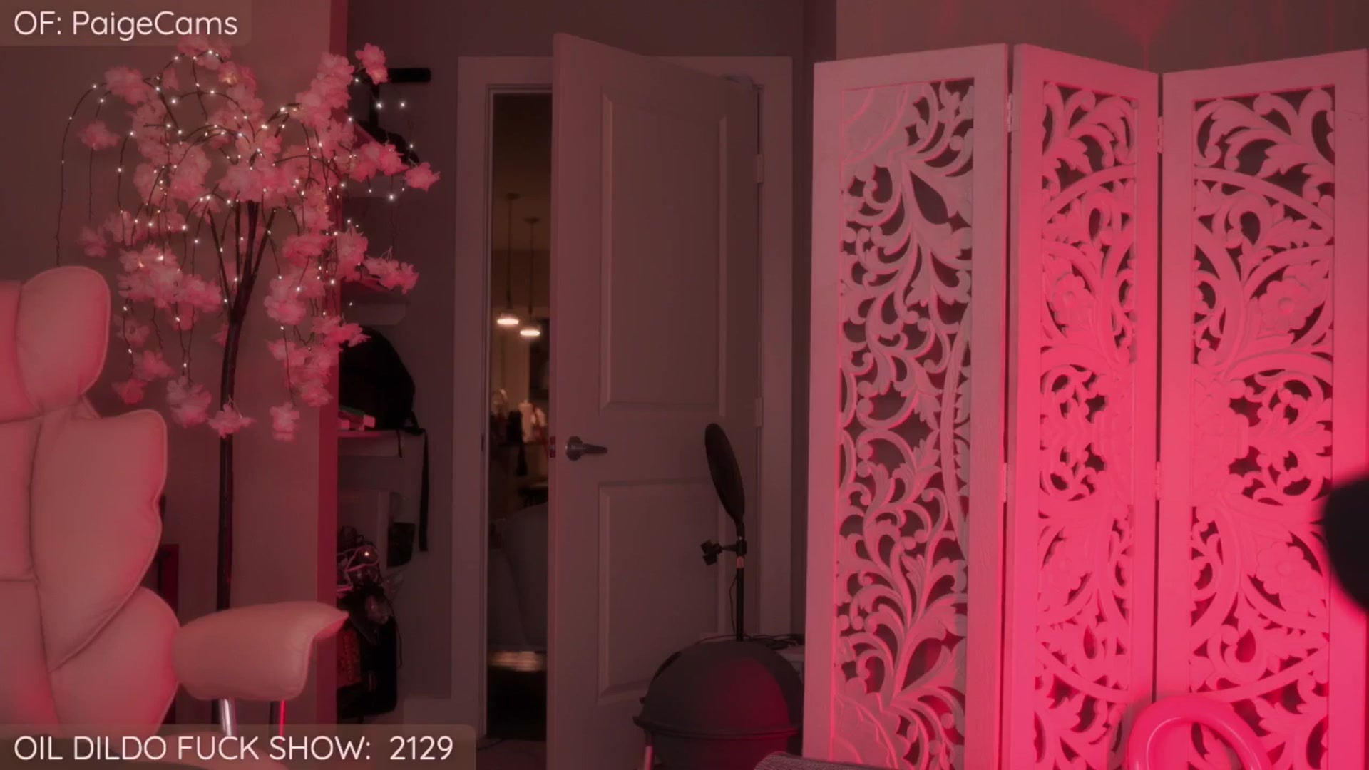 Gallery image thumbnail from Paige's myfreecams stream on, 01/06/2026, 03:49 image 16 of 20