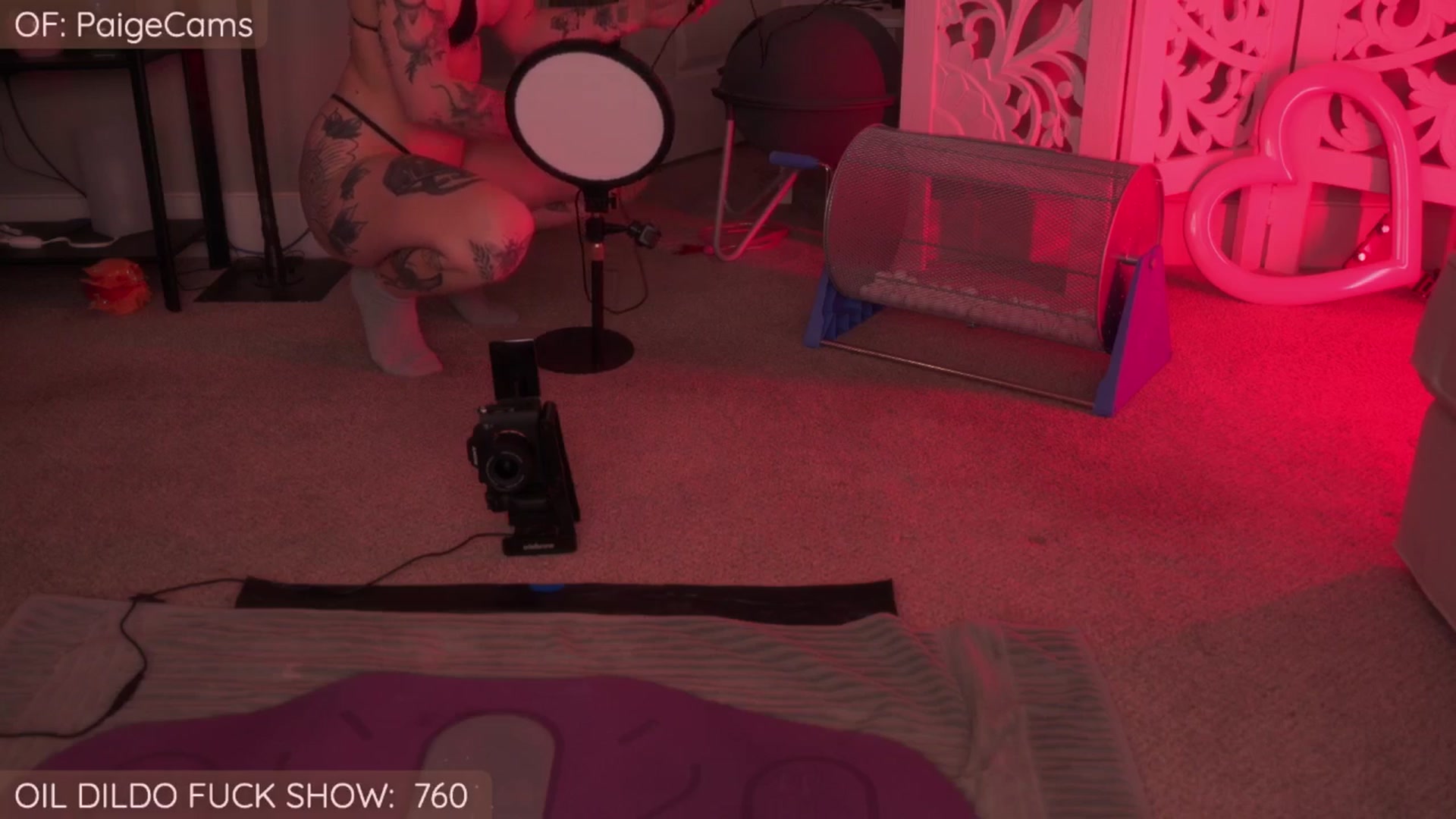 Gallery image thumbnail from Paige's myfreecams stream on, 01/06/2026, 03:49 image 20 of 20