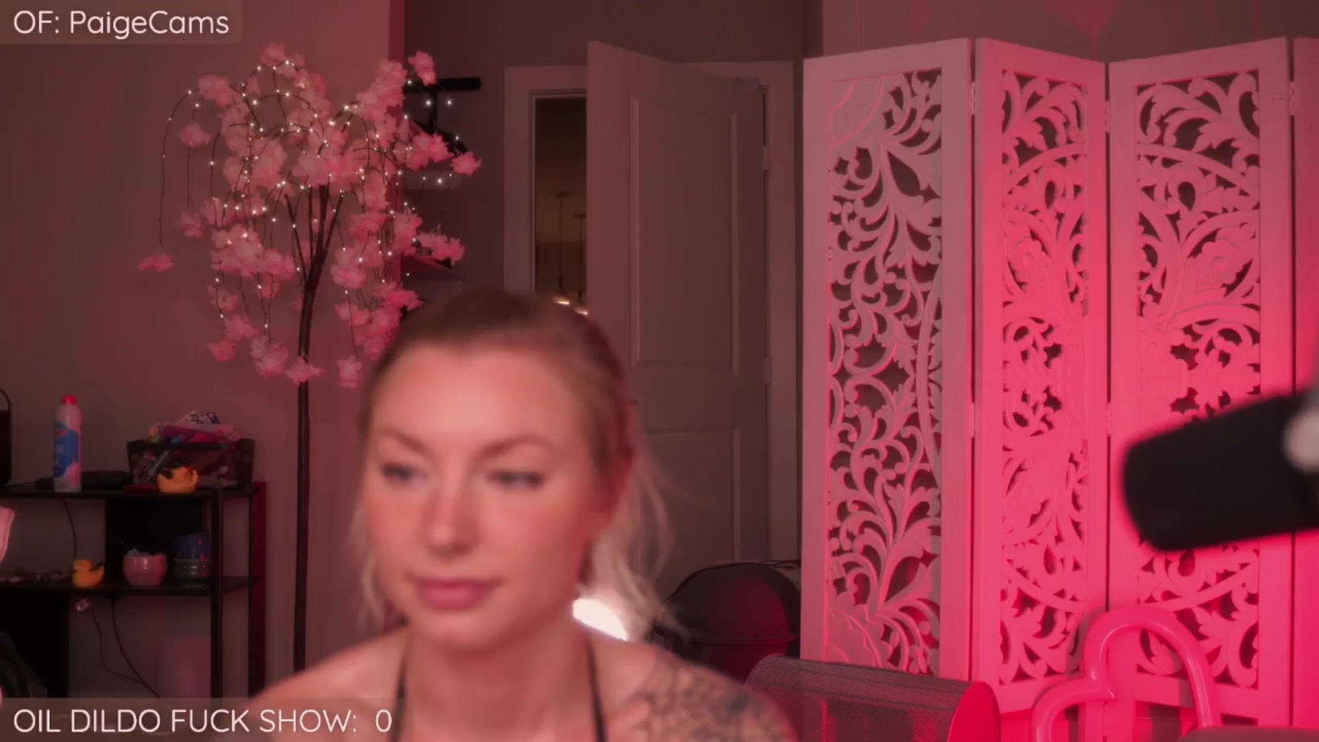Gallery image thumbnail from Paige's myfreecams stream on, 01/06/2026, 04:33 image 2 of 20