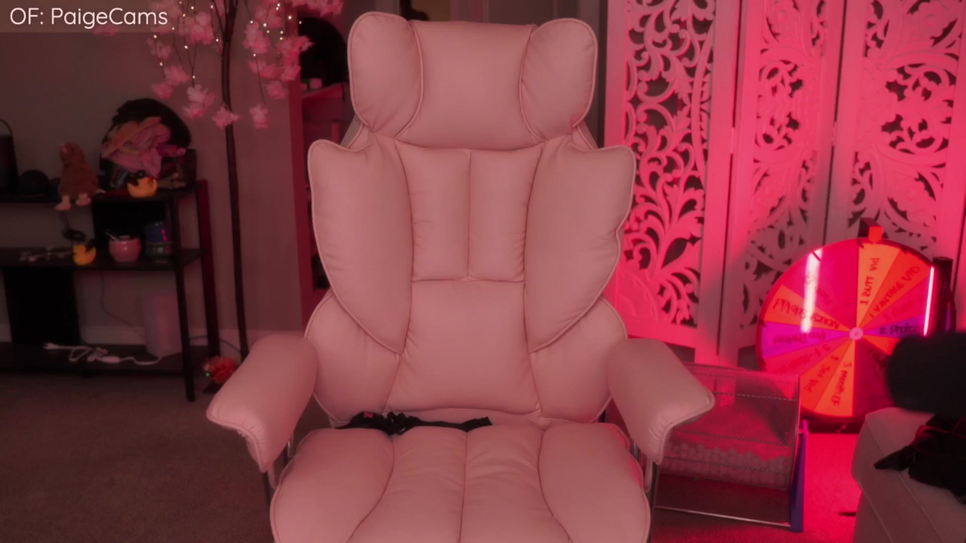Gallery image thumbnail from Paige's myfreecams stream on, 01/31/2026, 05:43 image 8 of 20
